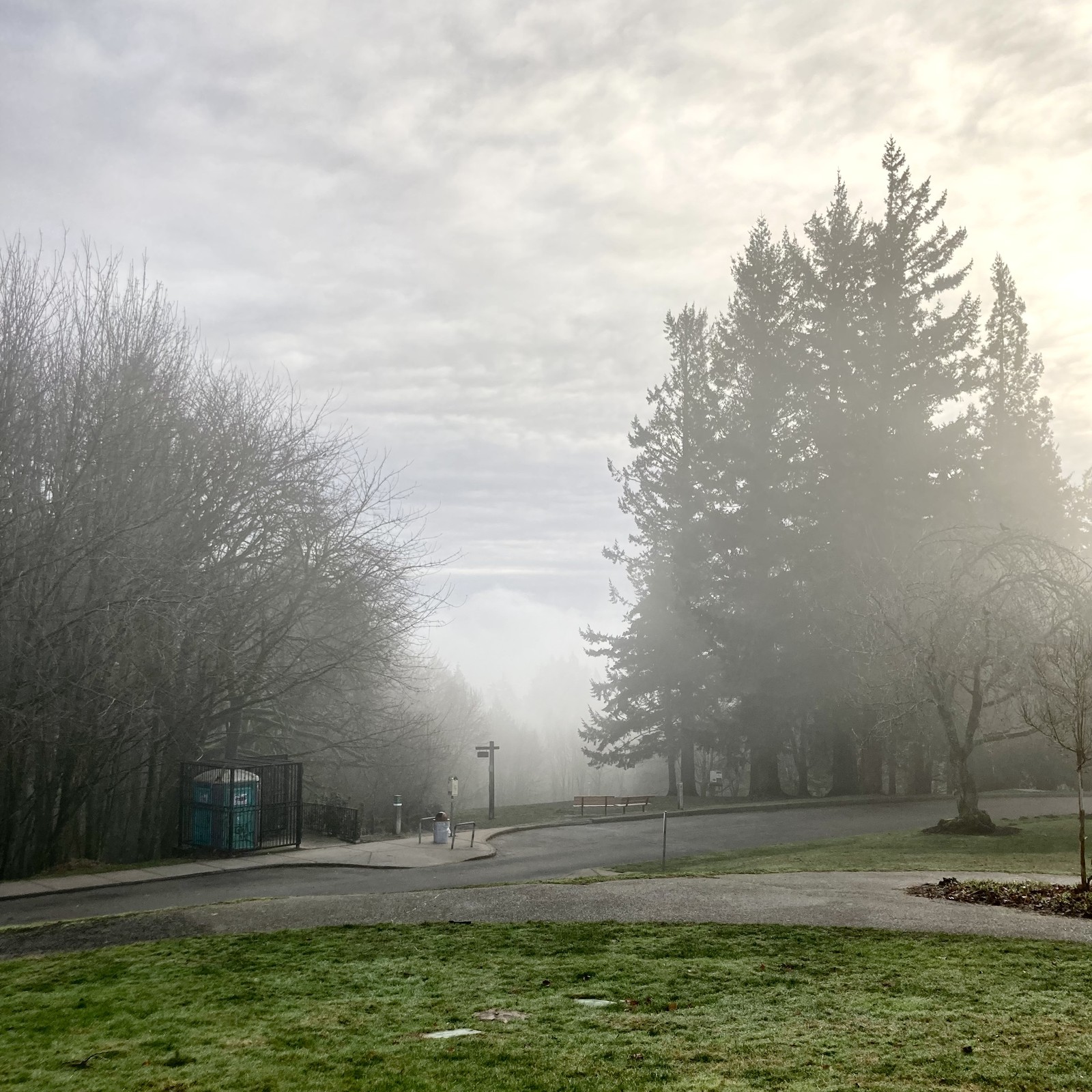 View from Council Crest Park toward Mt. Hood, which is not visible through many layers of fog and mist. It is not actually *cloudy* per se, the moisture in the air is clinging to the valley and rising just above Council Crest.