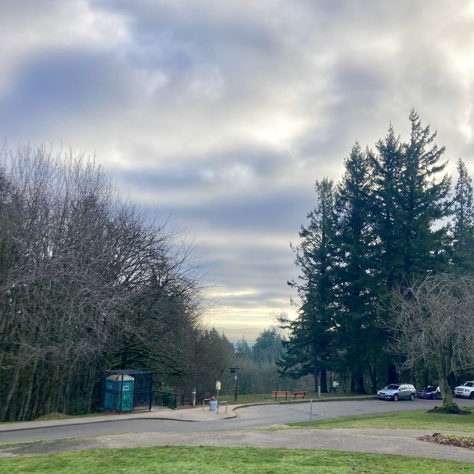 View from Council Crest Park toward Mt. Hood, which is not visible. A thin deck of clouds hangs low overhead, which shines with a blue light of the clear sky above. Sunlight illuminates similar clouds in the far distance. Over a line of trees about a half mile distant rises a puff of steam from the power plant at OHSU (which is downslope & not visible from here)