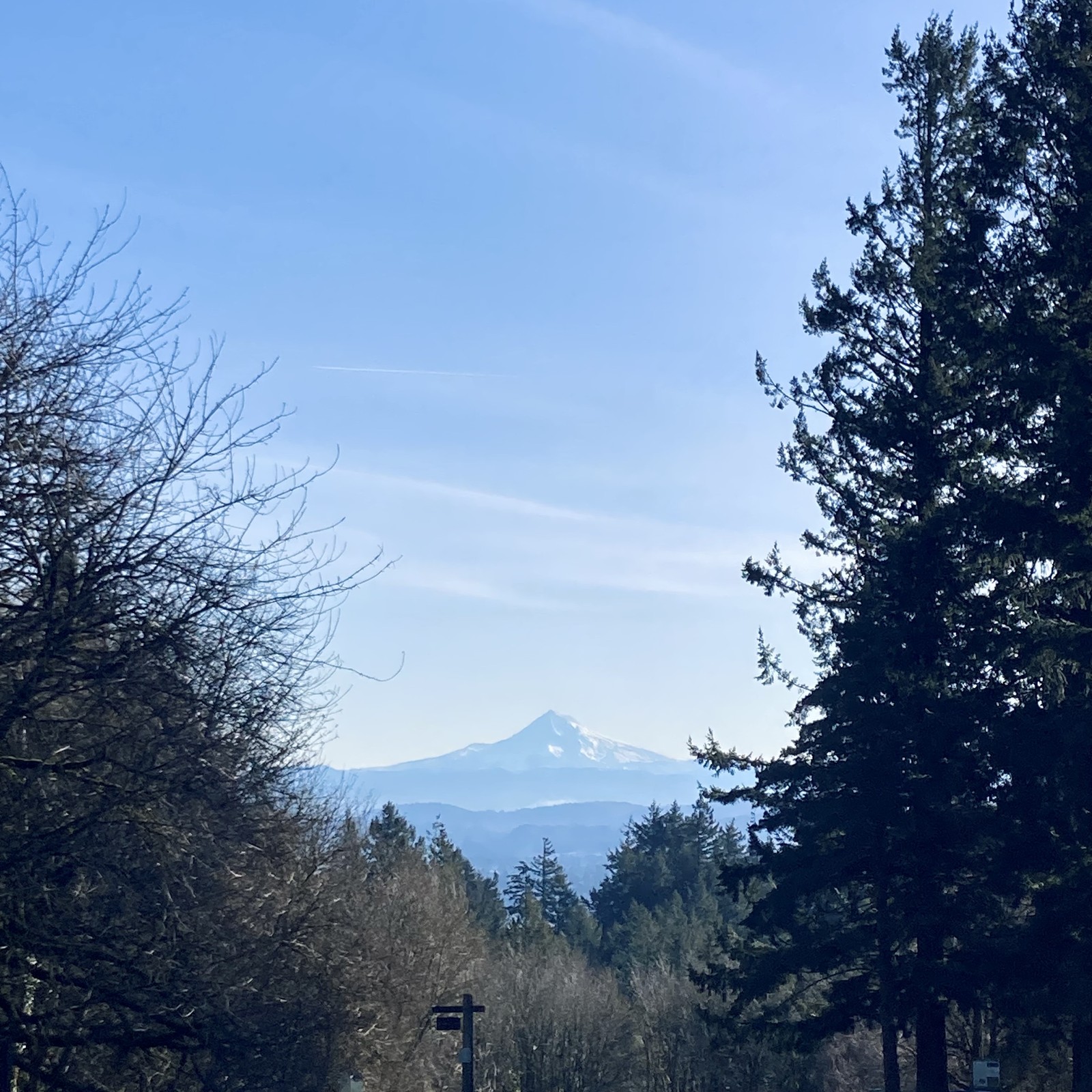View of Mt. Hood from Council Crest Park, cropped so that foreground objects are mostly out of frame. The air is exceptionally cold and clear. Mt. Hood is brilliant with snow, and the intervening hills are clearly defined.