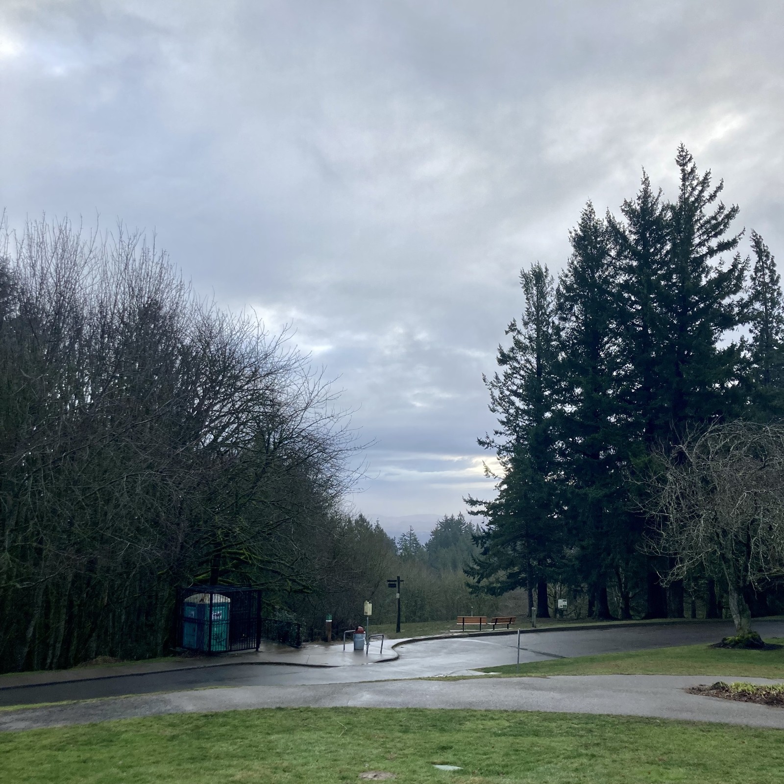 View from Council Crest Park toward Mt. Hood, which is obscured by many layers of rainclouds. How many times can I describe THIS. EXACT. scene? Despite the rain the air is clear to several miles