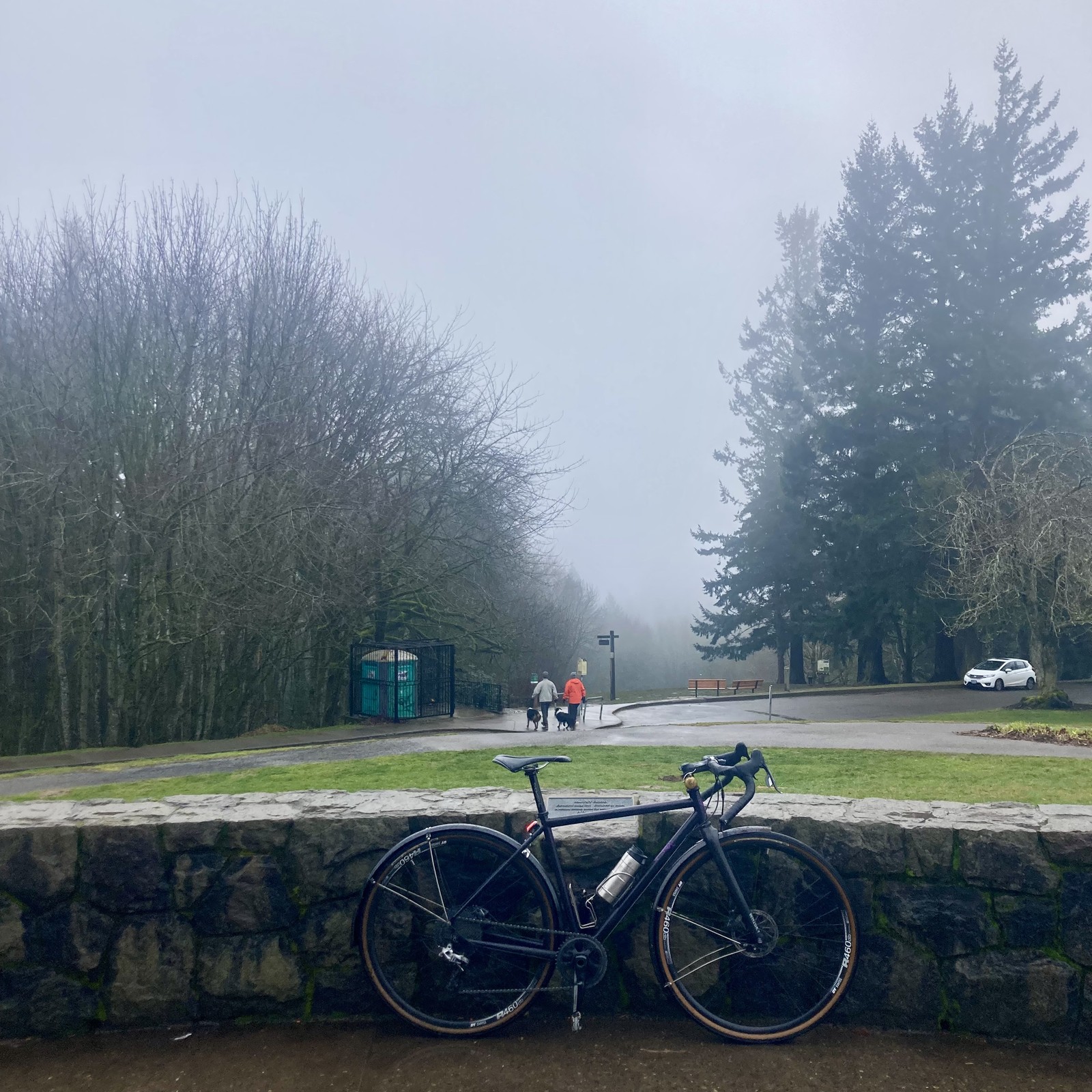 View from Council Crest Park toward Mt. Hood, which is obscured by fog and rain, limiting visibility to only a few hundred feet. In the midground a couple in raincoats are walking their two beautiful border collies across the road to the off-leash area. In the foreground my bicycle leans against the low decorative wall.