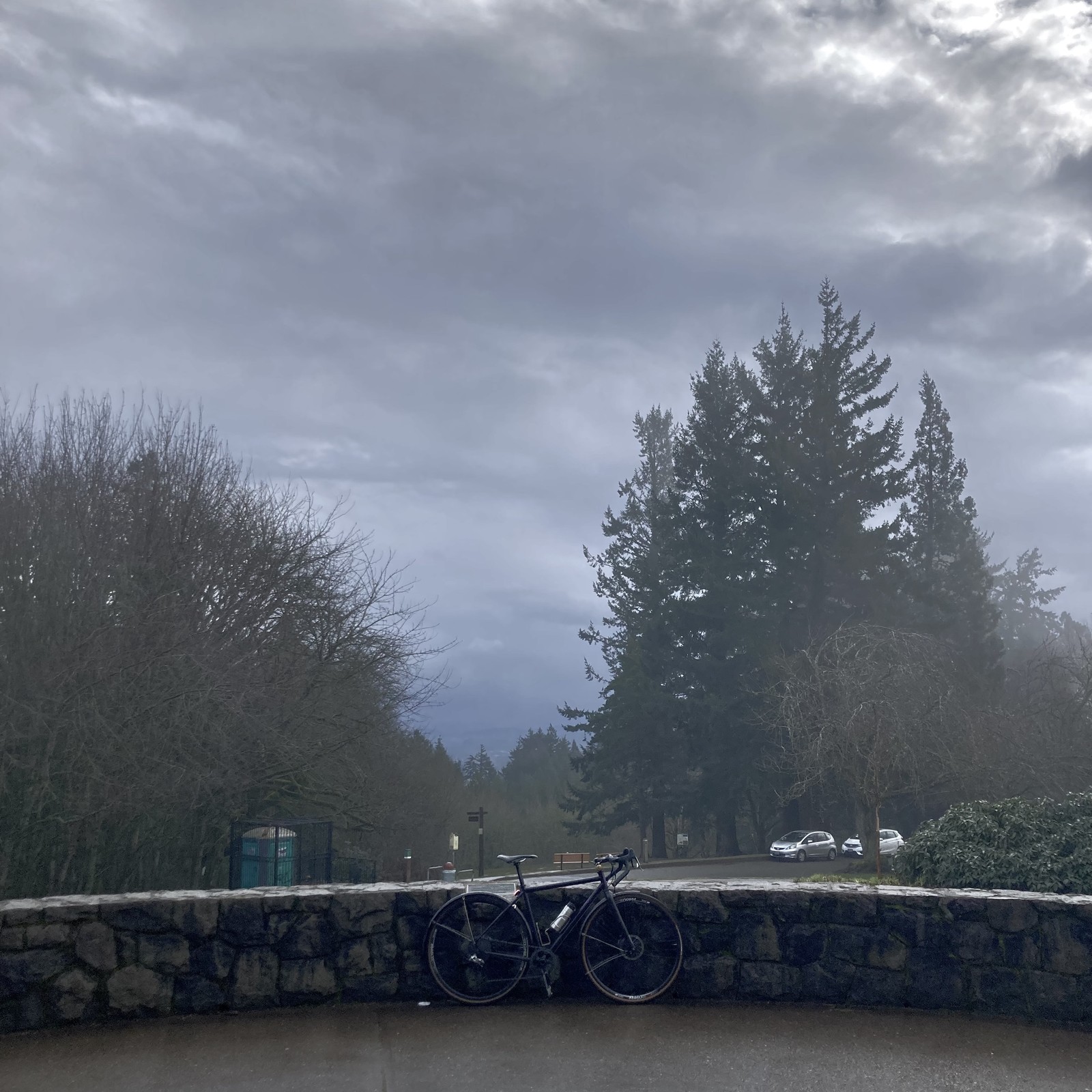 View from Council Crest Park toward Mt. Hood, which hidden by an enormous dark cloud that had just minutes prior passed over Council Crest, unleashing five minutes of sleet with a peal of thunder. A tiny patch of clear sky appears in the upper right. The nearby douglas fir trees are fuzzy in the mist. My bicycle leans against the low stone decorative wall in the foreground. My Stanley thermos mug is in the bottle cage; this object is at elast 10 years old and perfectly sized to fit in a bottle cage — the only insulated mug I have found that is such. All the pebbly paint has worn off my mug and I like to flatter myself it has acquired a kind of wabisabi patina. I love this mug, it manages to keep coffee hot for at least an hour in these punishing conditions, is completely leakproof, and dishwasher-safe.