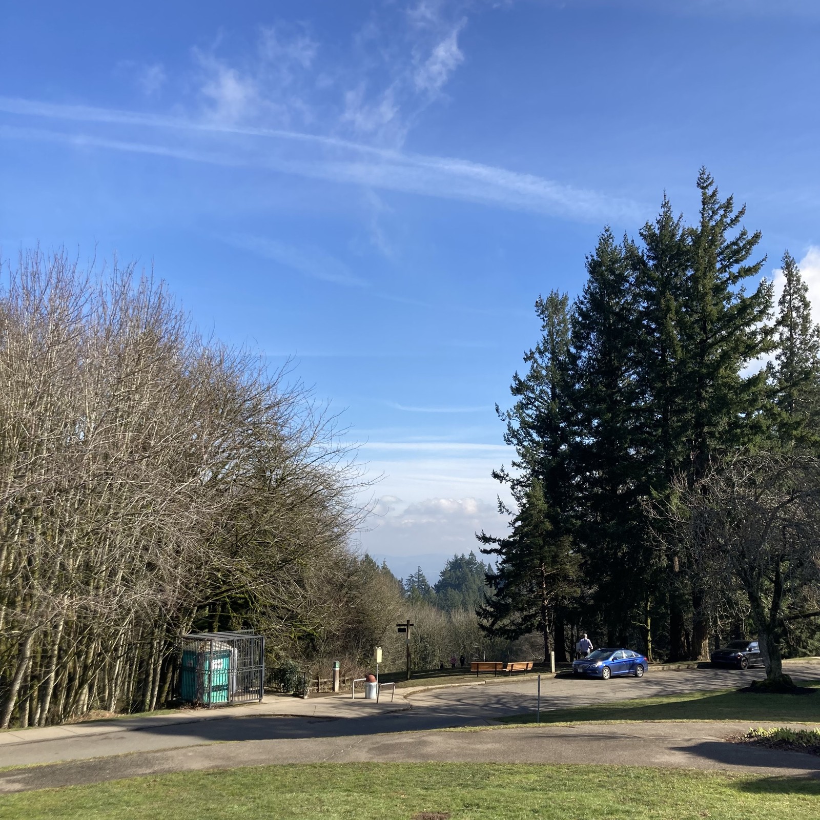 View from Council Crest Park toward Mt. Hood which is, cruelly, NOT visible. The sky is almost entirely clear except for a low layer of cold clouds that have hugged the city all day. These clouds obscure the horizon to the east, including Mt. Hood