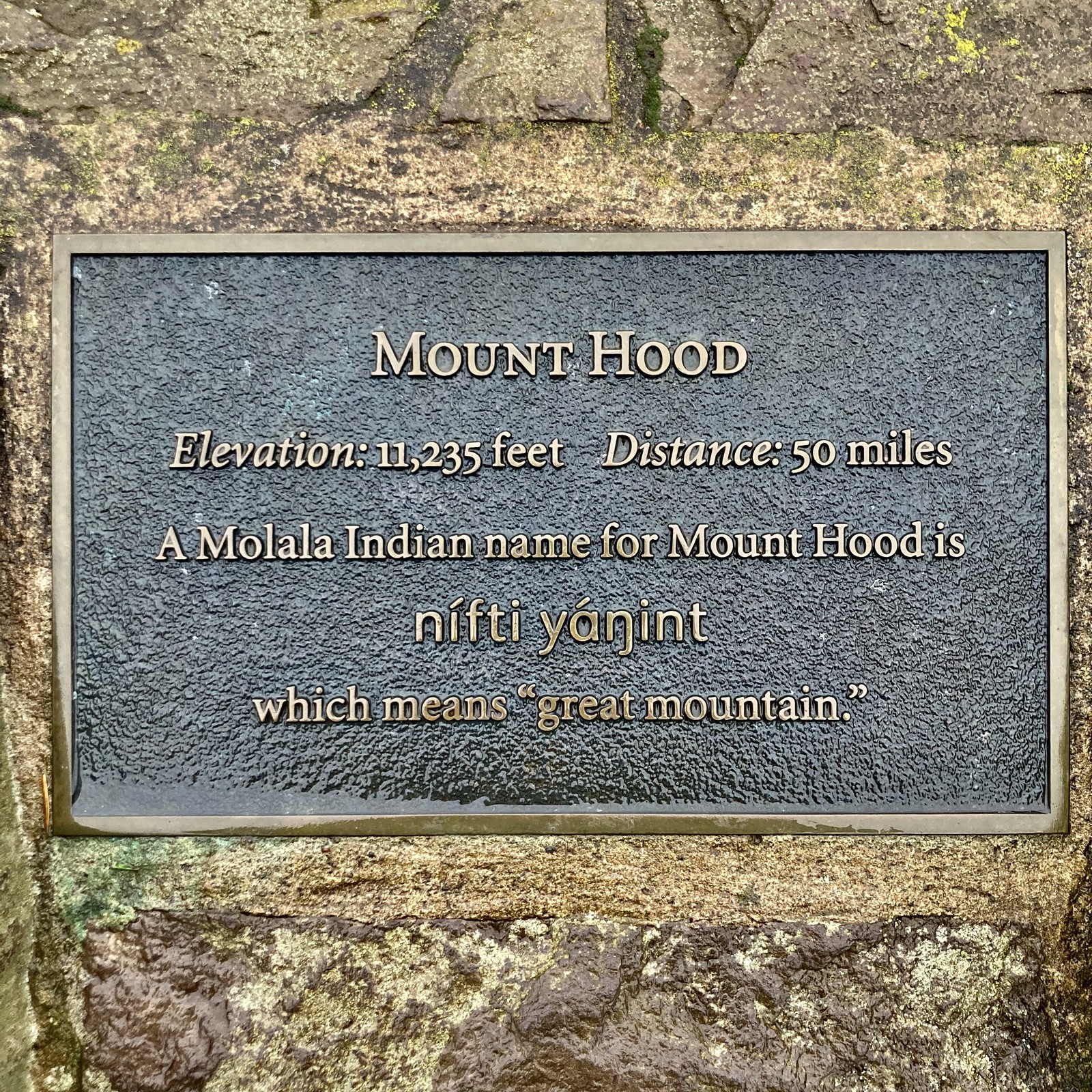 View from Council Crest toward Mt. Hood, which is NOT visible