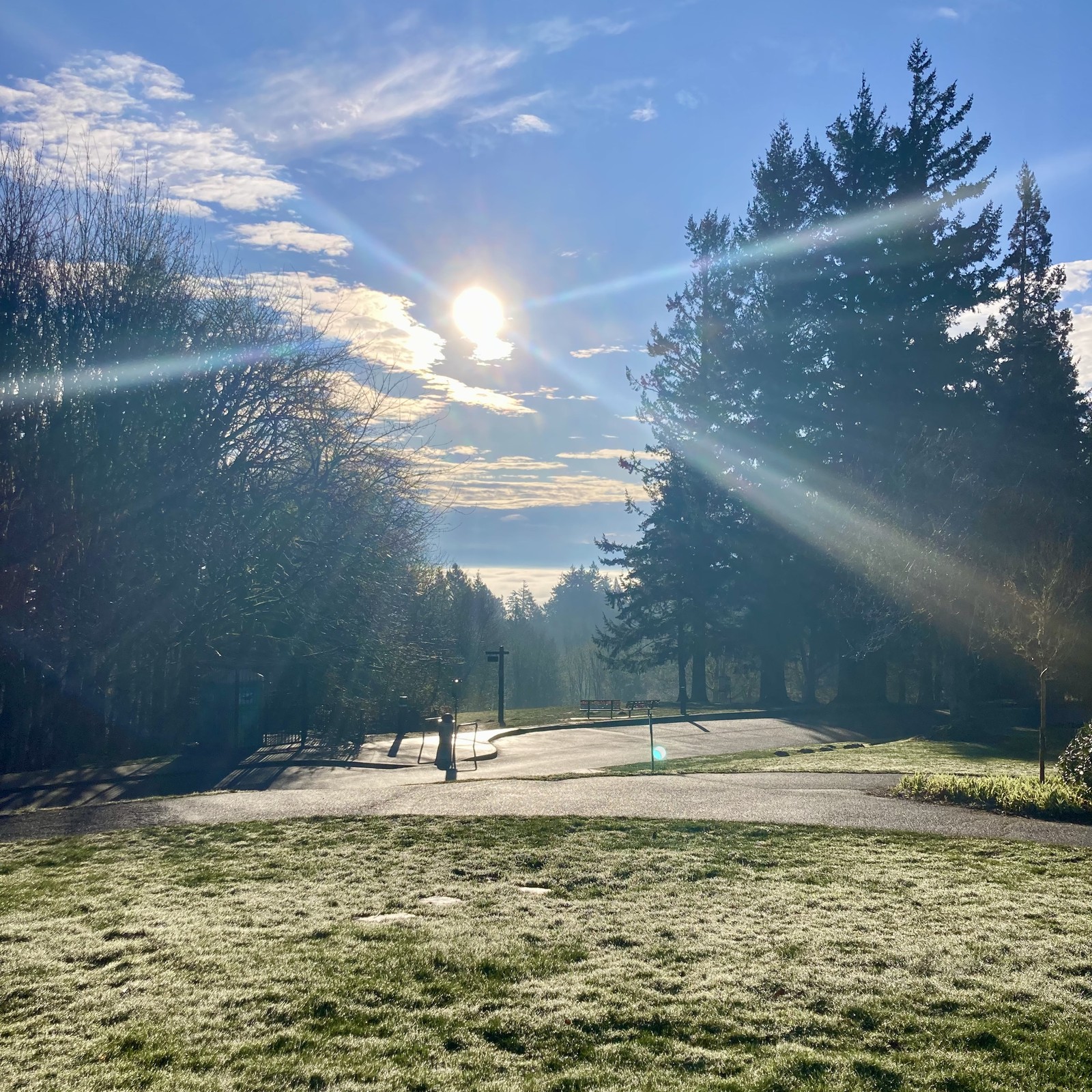 View from Council Crest Park toward Mt. Hood, which is obscured by heavy clouds and mist. HOWEVER the top of Council Crest itself is above the fog enshrouding the city below. The sky overhead is clear; the sun shines almost directly into the camera