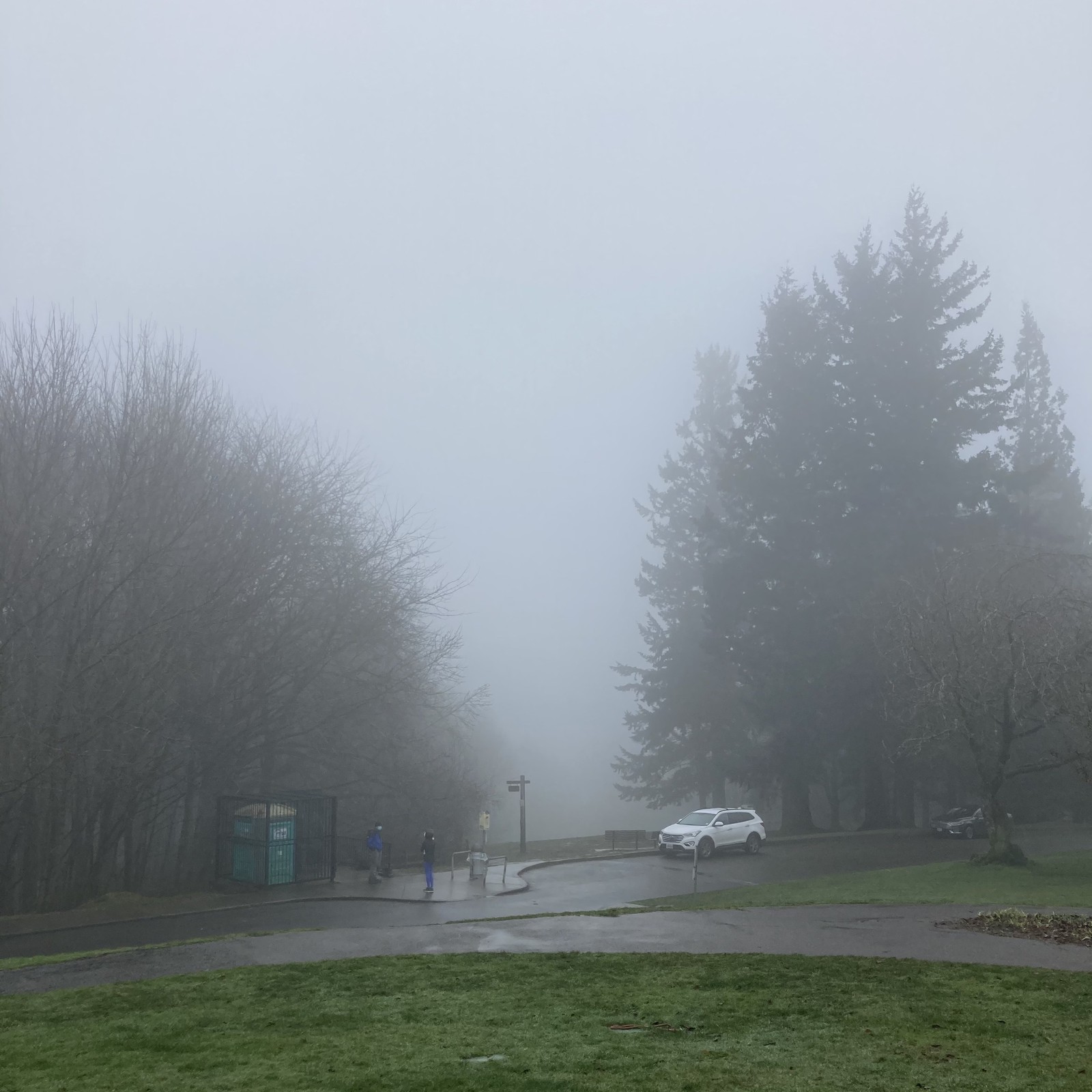 View from Council Crest toward Mt. Hood, which is NOT visible