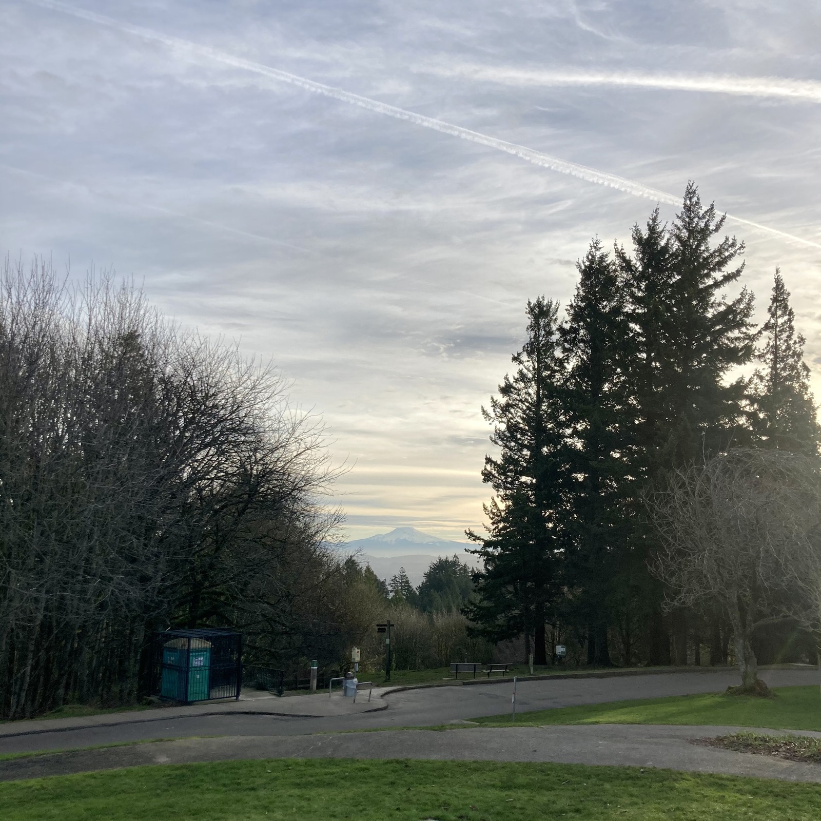 View from Council Crest toward Mt. Hood, which is visible