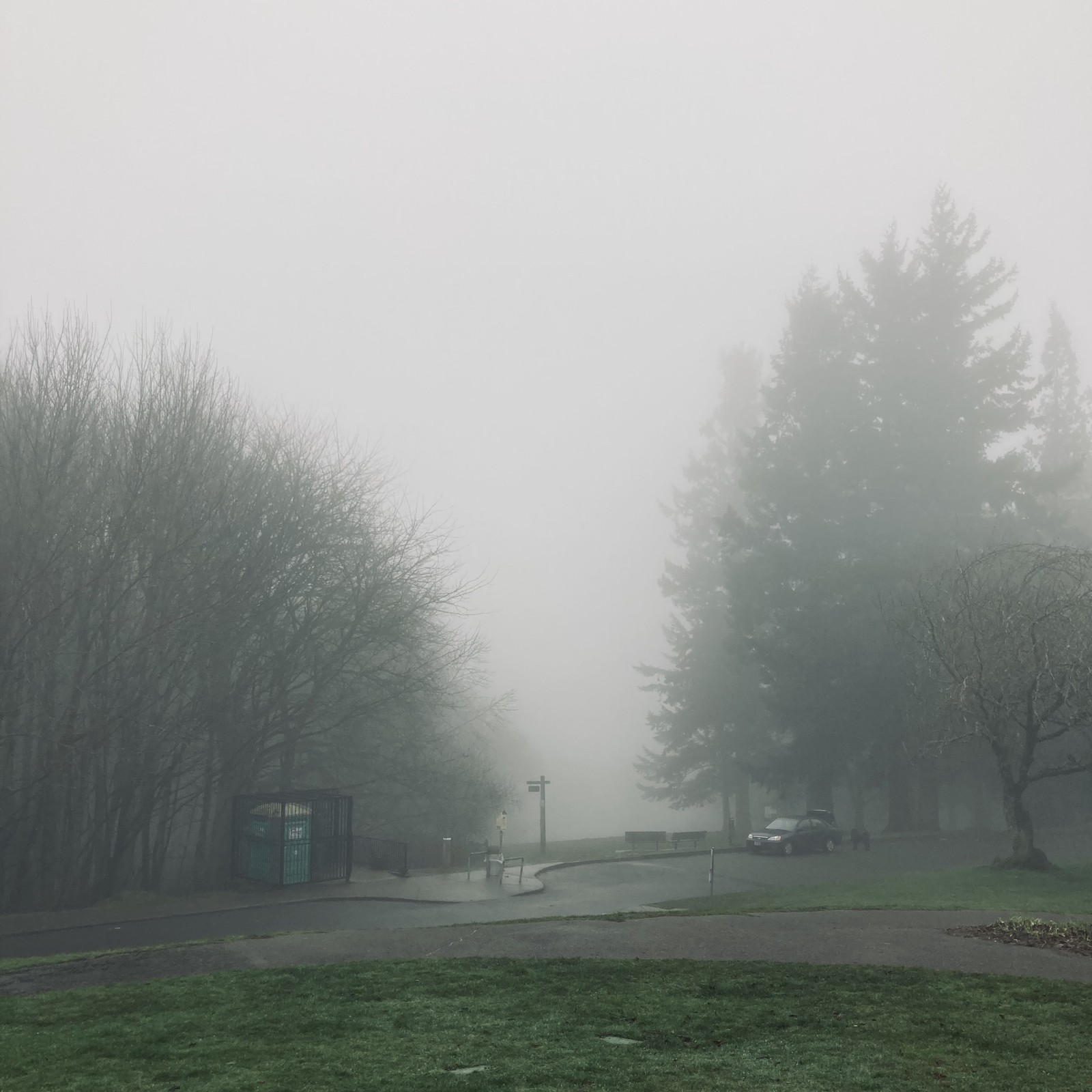 View from Council Crest toward Mt. Hood, which is NOT visible