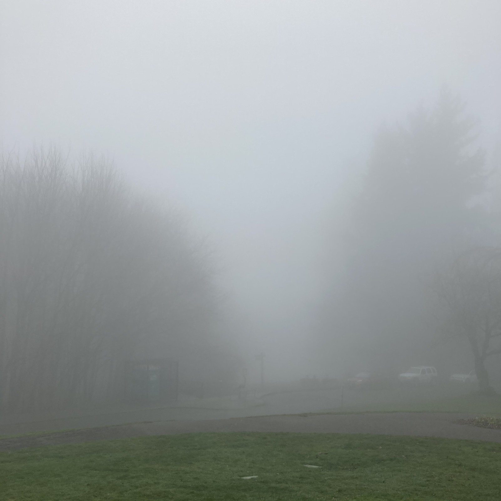 View from Council Crest toward Mt. Hood, which is NOT visible