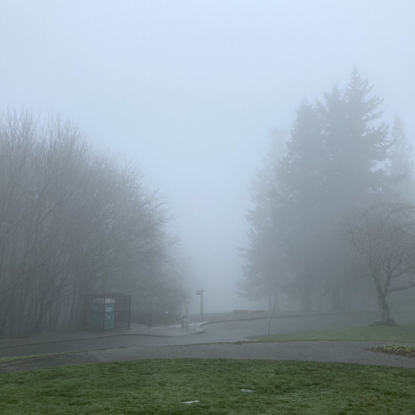 View from Council Crest toward Mt. Hood, which is NOT visible