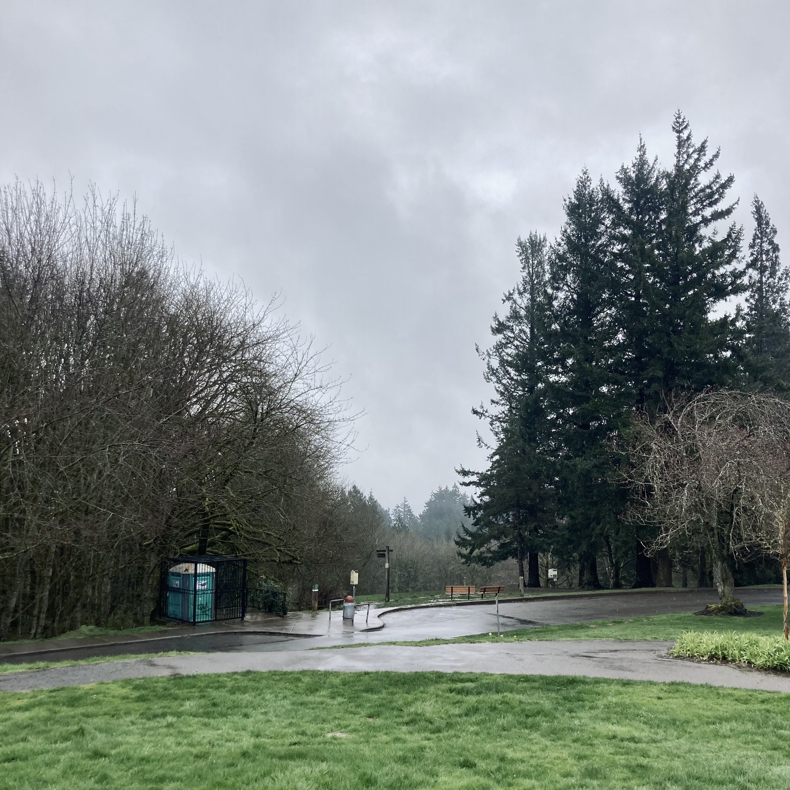 View from Council Crest Park toward Mt. Hood, hidden behind a uniform gray veil of steady, daylong rain