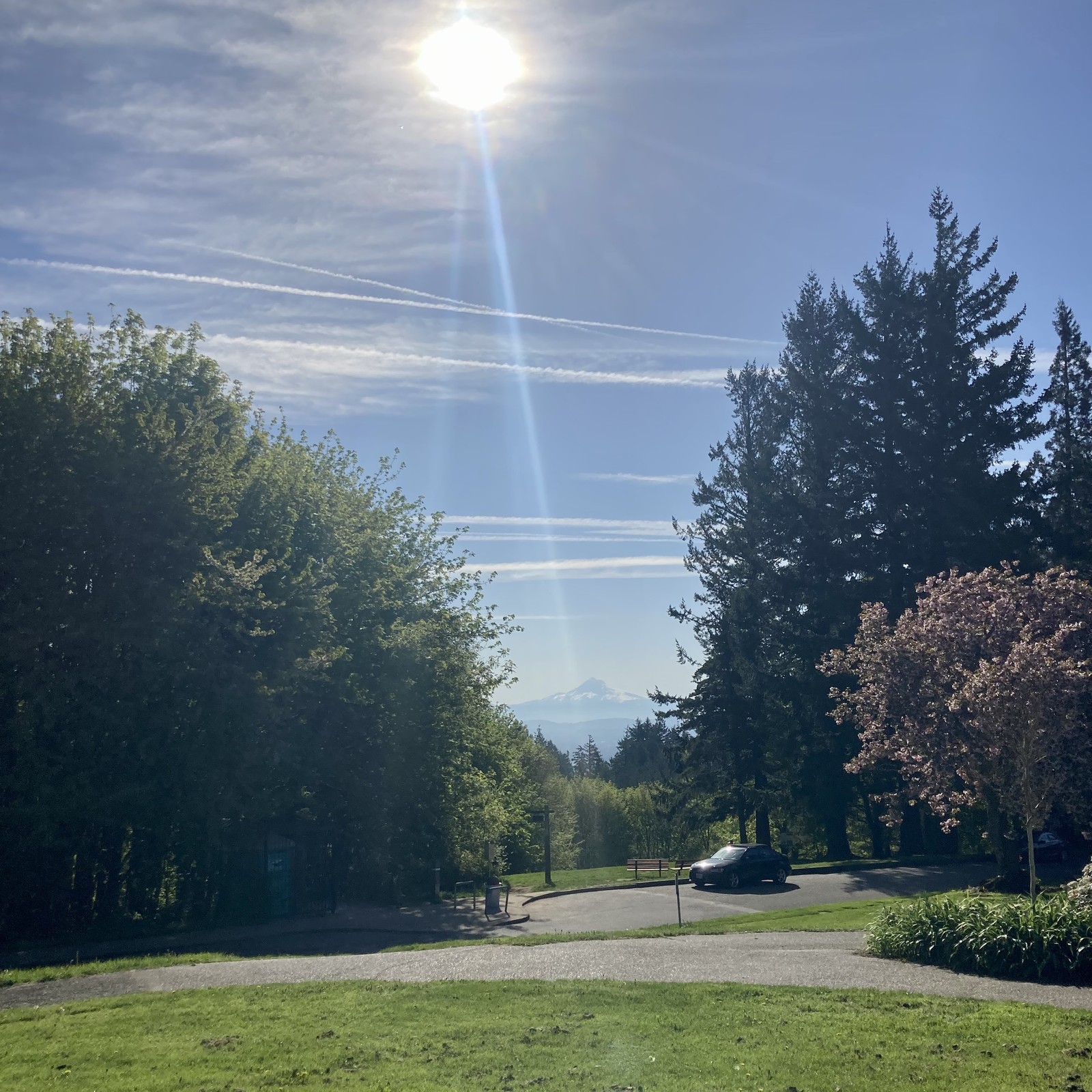 Mt. Hood, snow-capped under a bright blue May sky crossed with contrails and a few wispy cirrus clouds