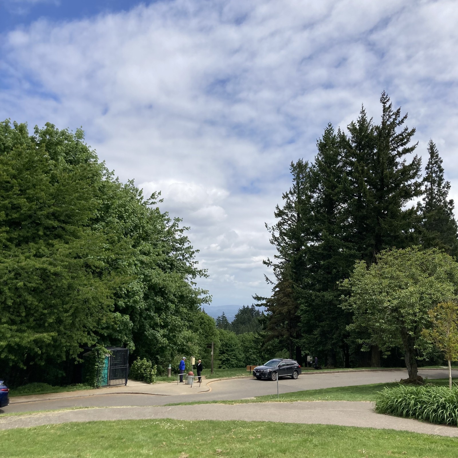 View from Council Crest Park, toward mount hood, which is obscured by marine haze and several layers of clouds. The sun shines weakly on the bright foliage in the foregeound