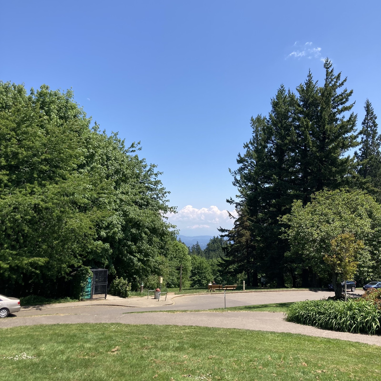 Mt. Hood tucked under a single growing thunderhead. Taken from Council Crest park. Two people sit on a bench, facing toward the mountain, about 100' away.