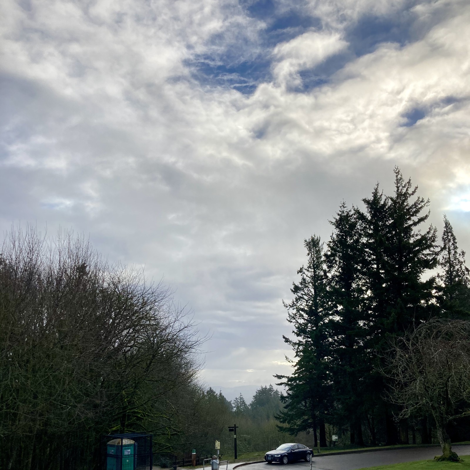 View from Council Crest toward Mt. Hood, which is NOT visible