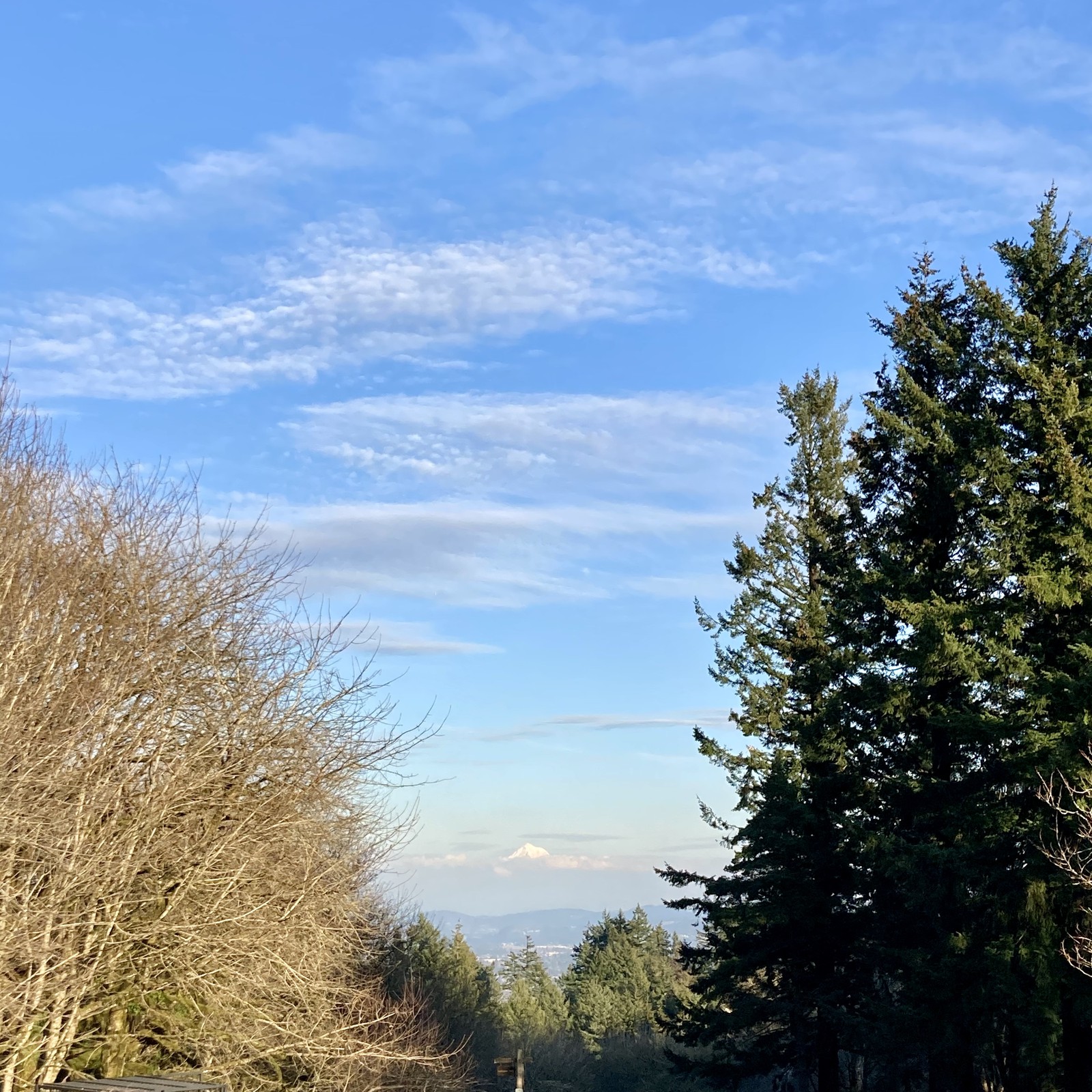 View from Council Crest toward Mt. Hood, which is visible