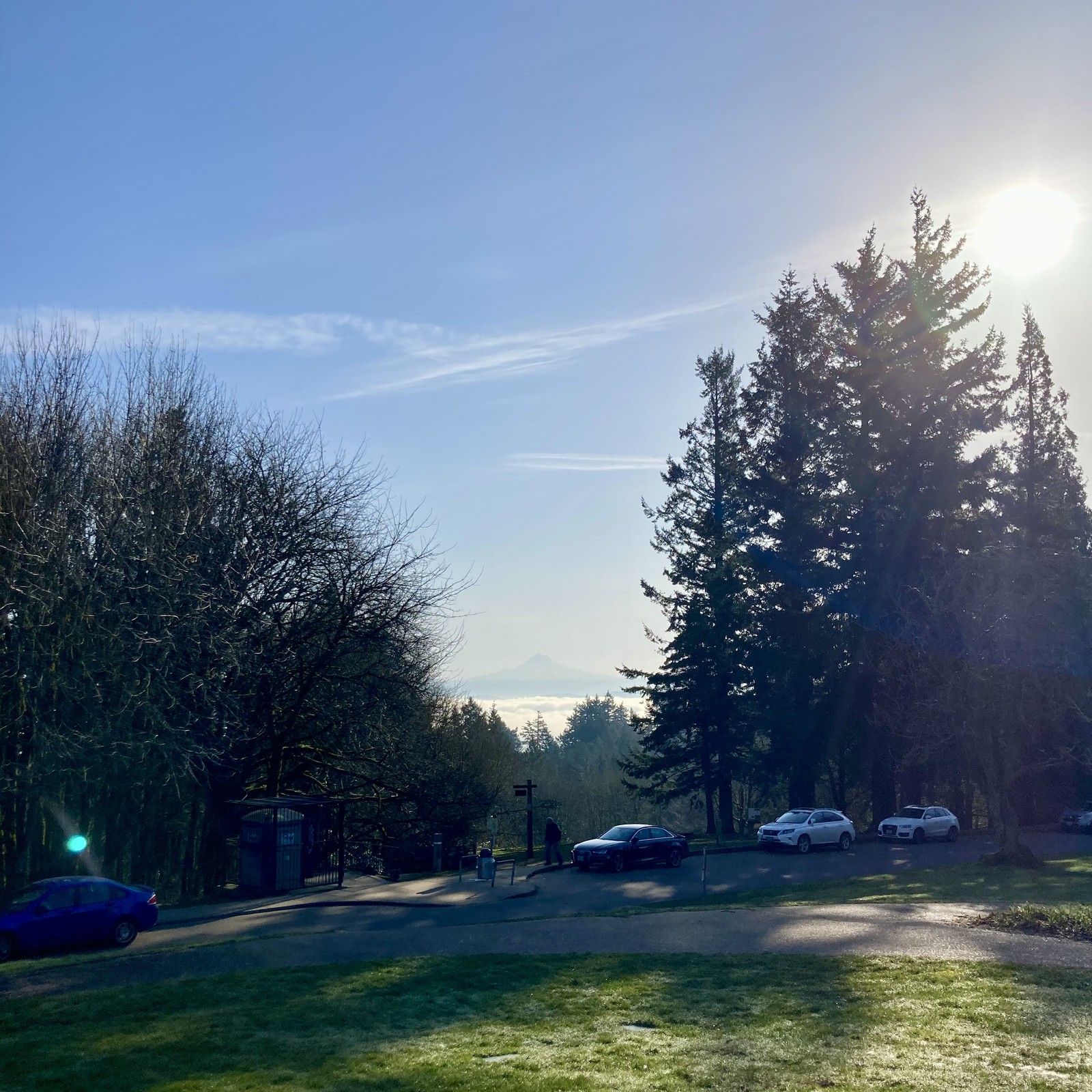 View from Council Crest toward Mt. Hood, which is visible