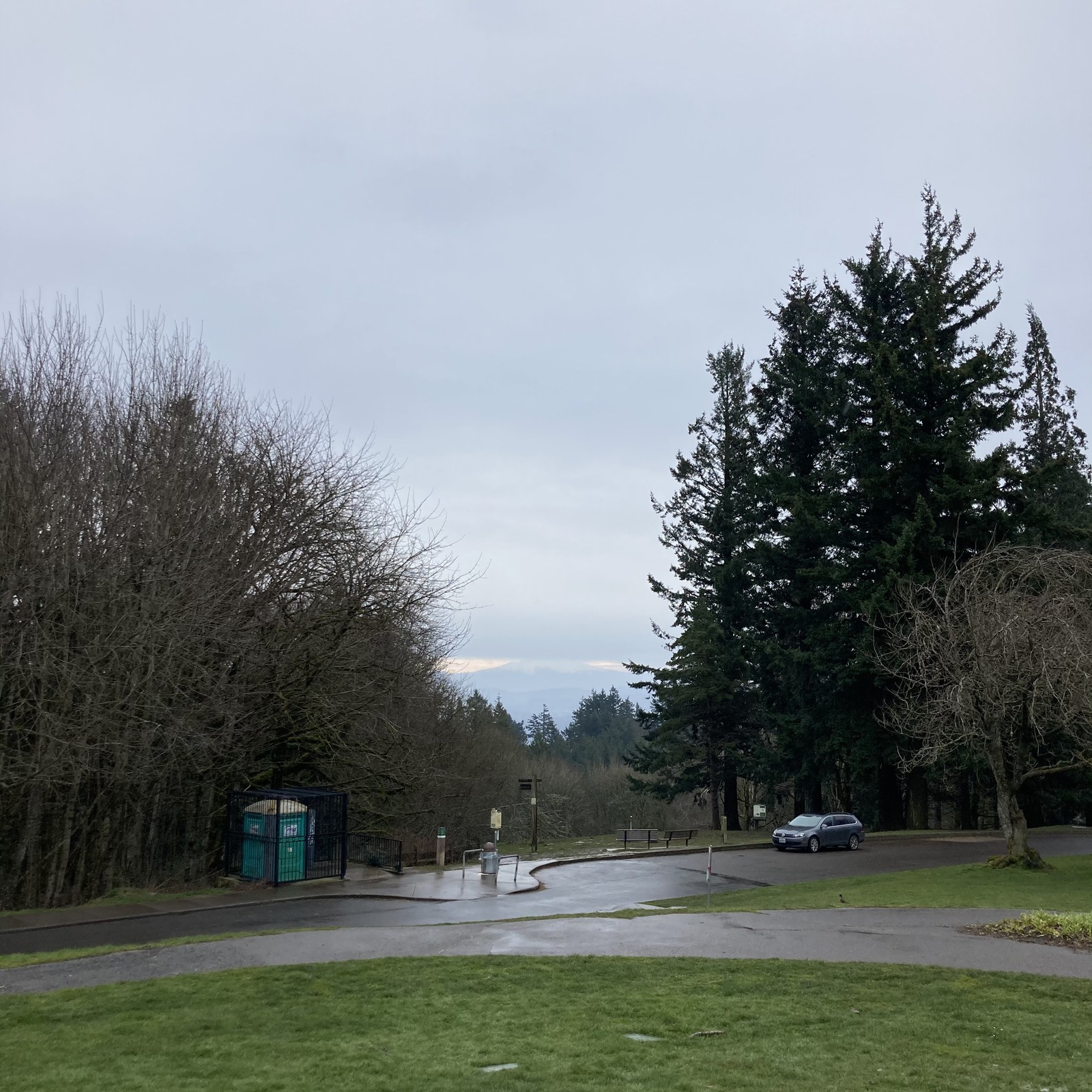 View from Council Crest toward Mt. Hood, which is visible