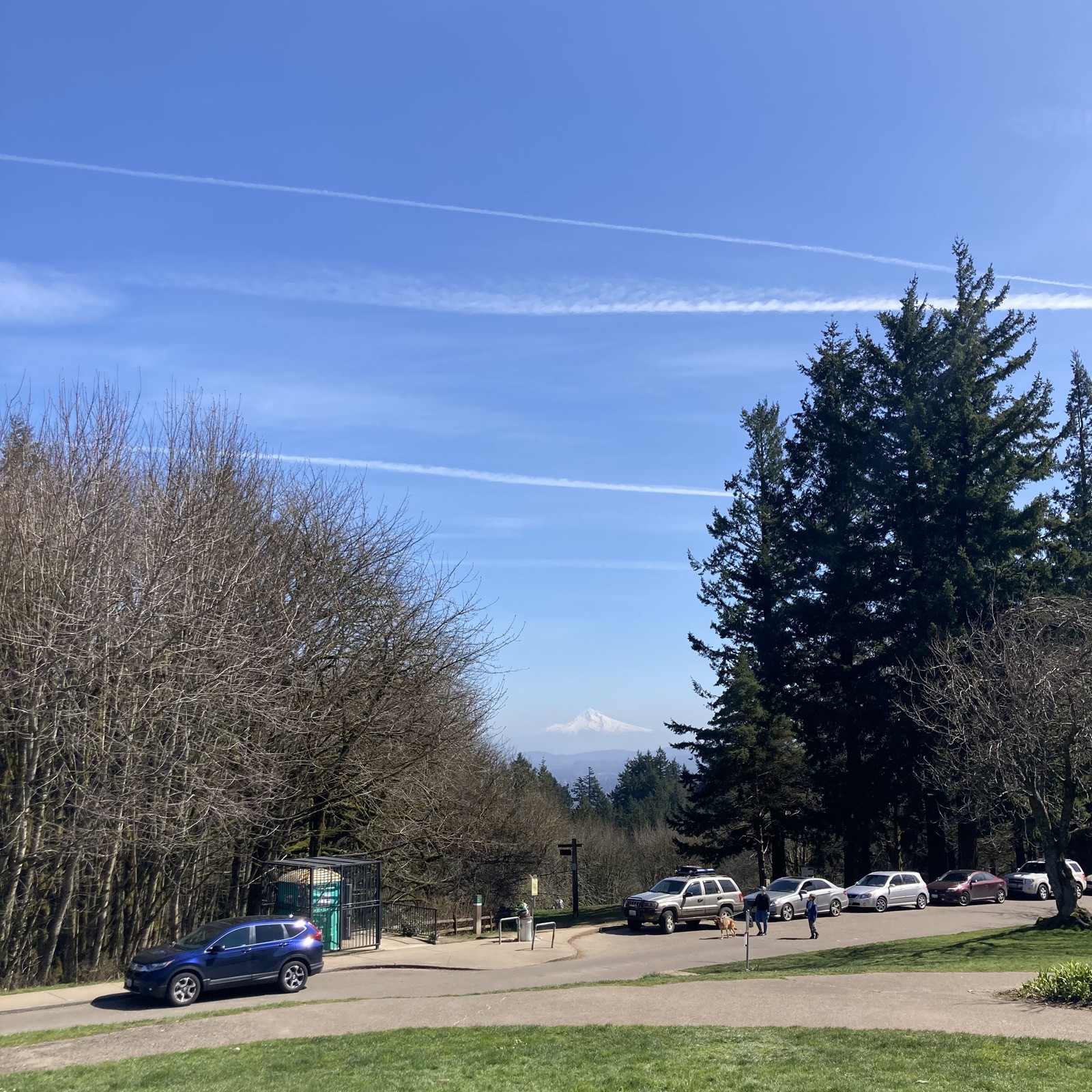 View from Council Crest toward Mt. Hood, which is visible
