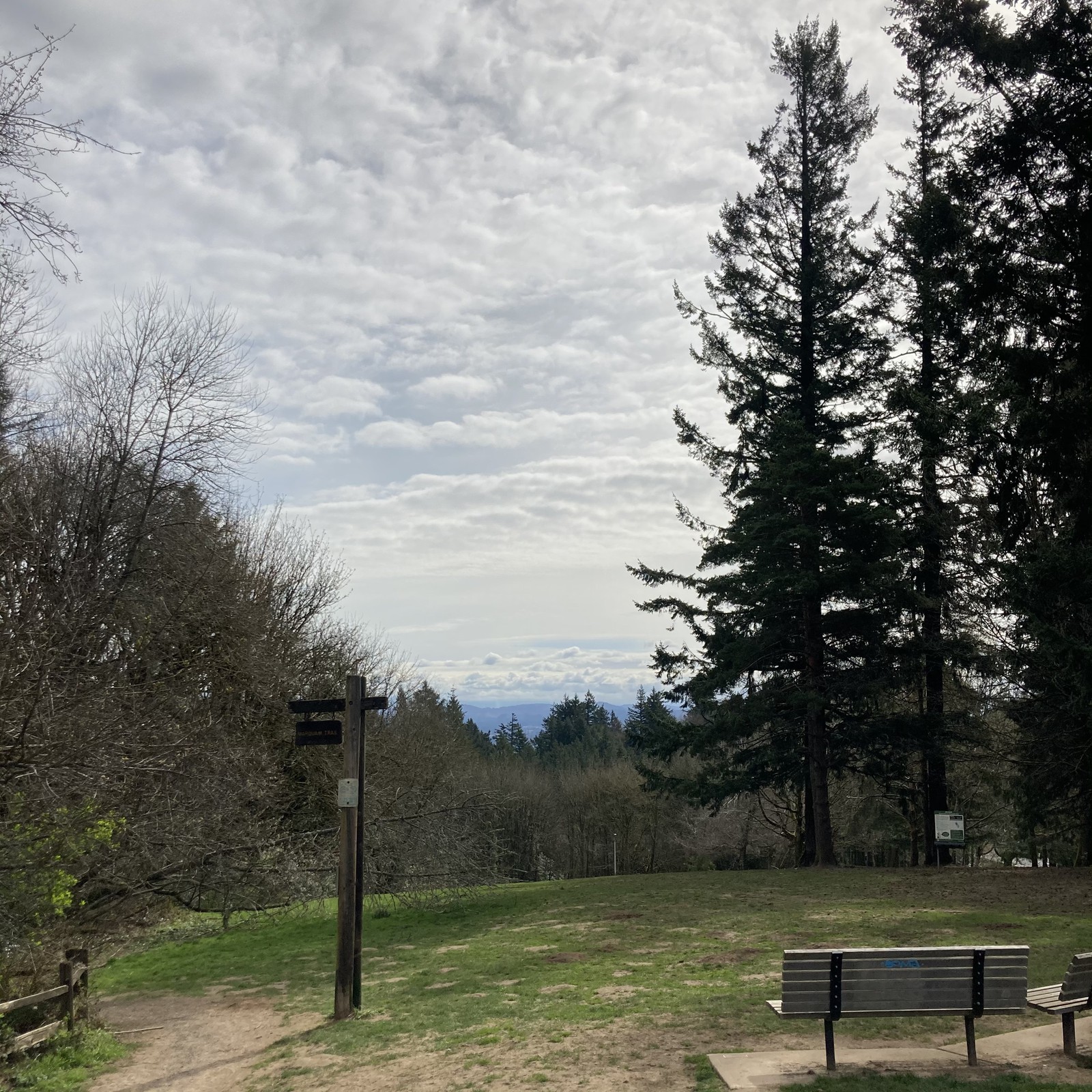View from Council Crest toward Mt. Hood, which is NOT visible