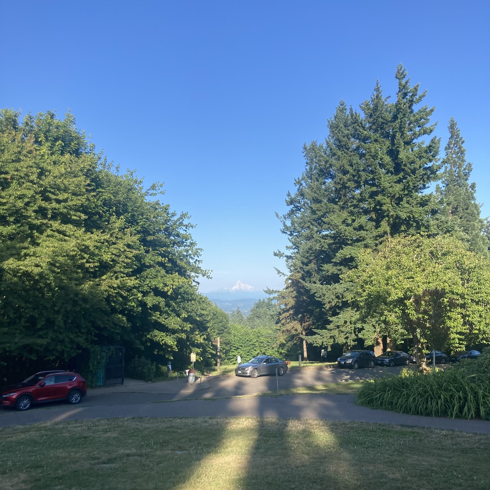 View from Council Crest Park toward Mt. Hood in the very late afternoon. The sun behind the photographer casts long shadows toward the mountain, which is still white with snow