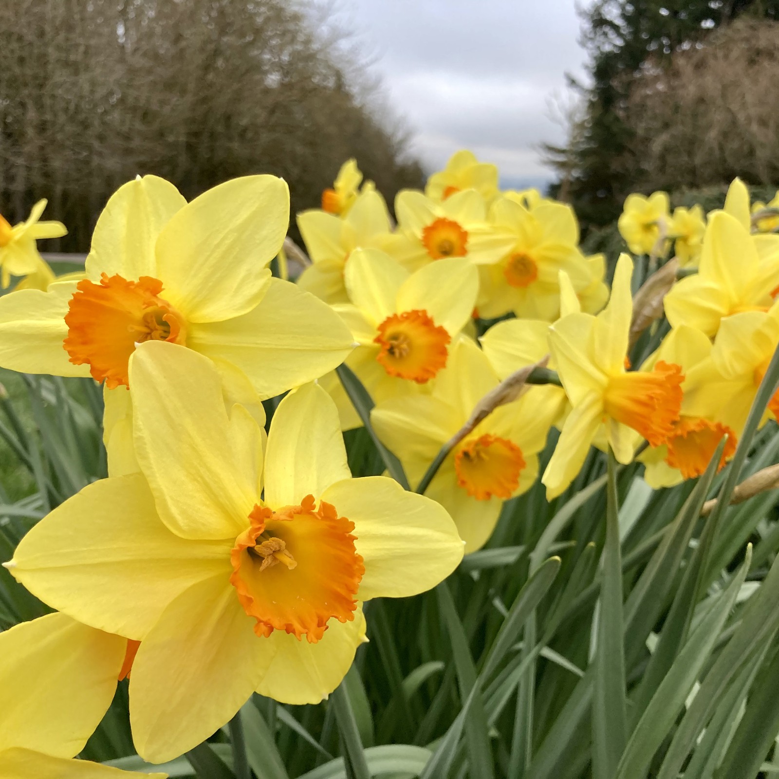 View from Council Crest toward Mt. Hood, which is NOT visible