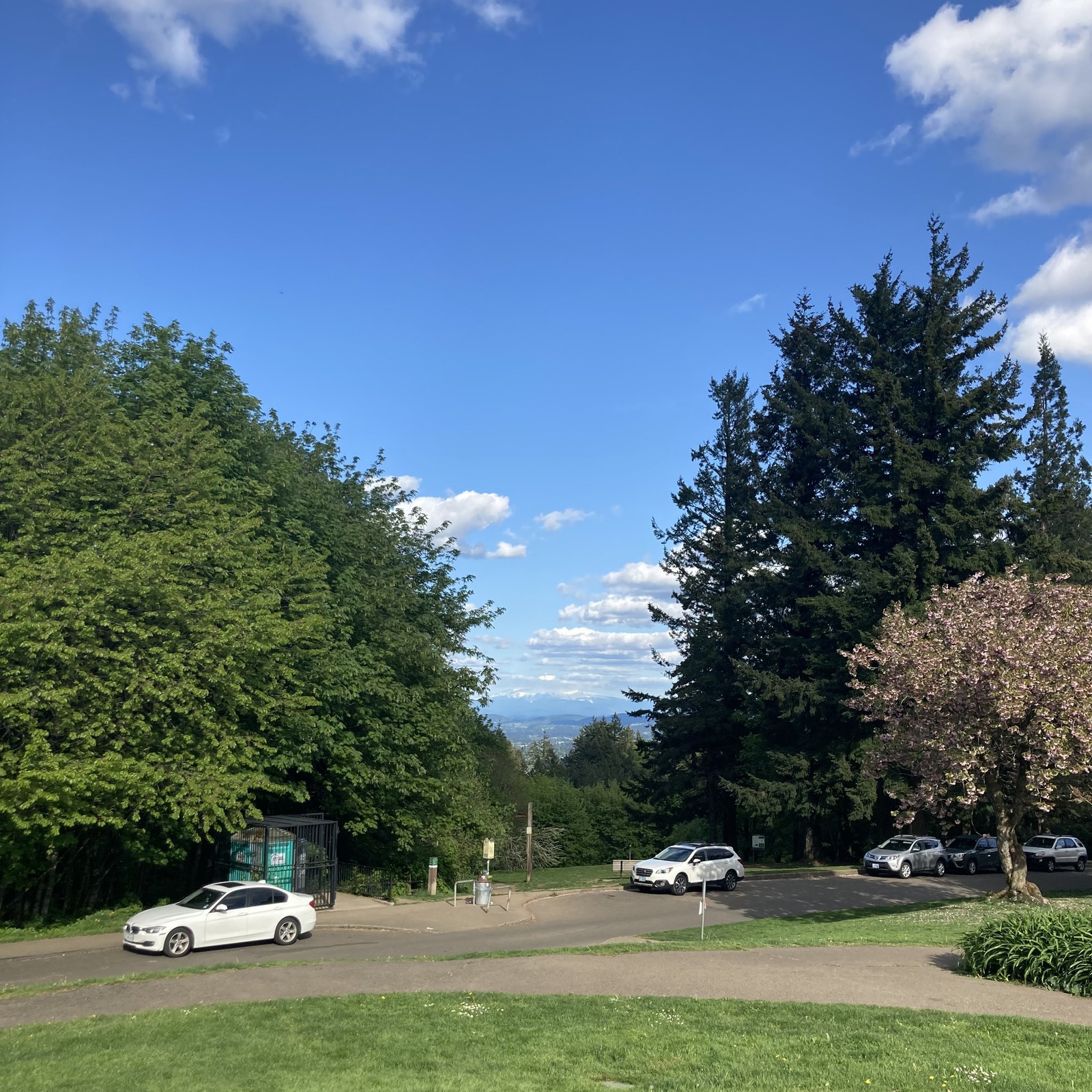 View from Council Crest toward Mt. Hood, which is visible