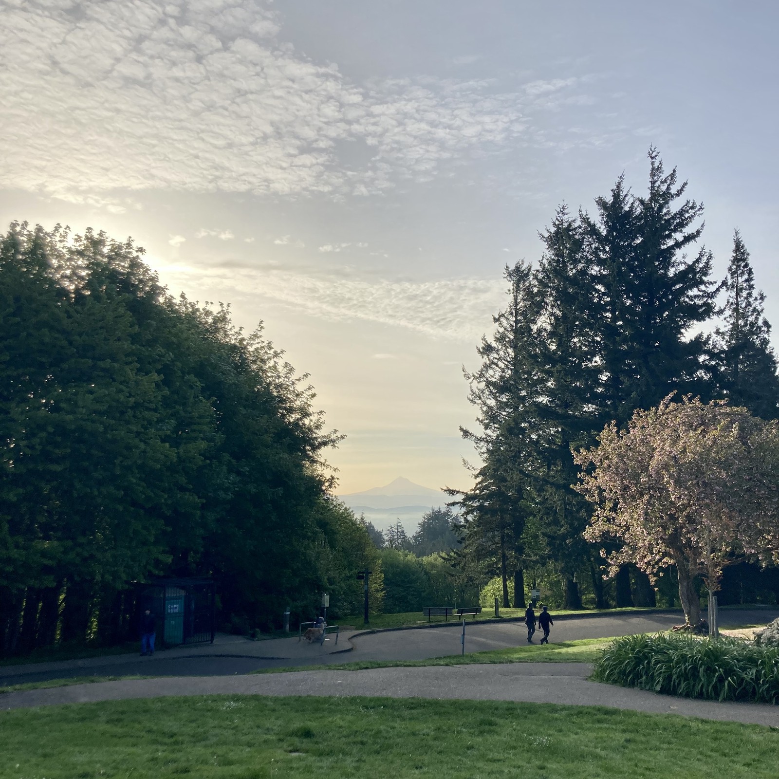 View from Council Crest toward Mt. Hood, which is visible
