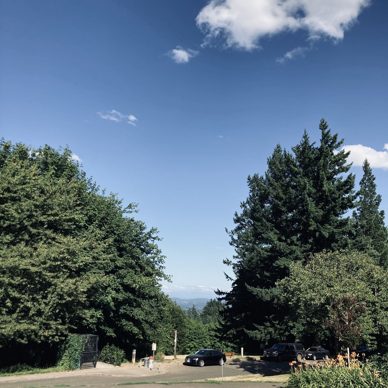 View from Council Crest Park toward mount hood. The foot of the mountains obscured by the remnants of a marine layer. The sky overhead is otherwise clear, except for a few small, fluffy clouds.