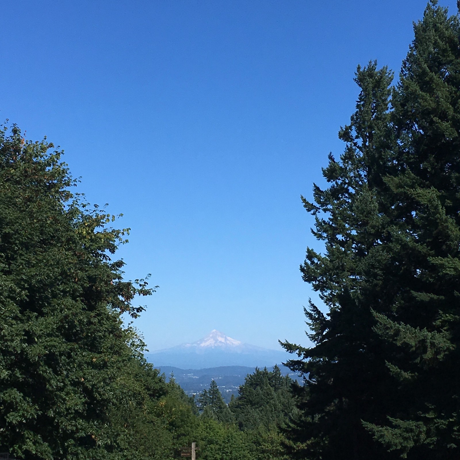 View from Council Crest toward Mt. Hood, which is visible