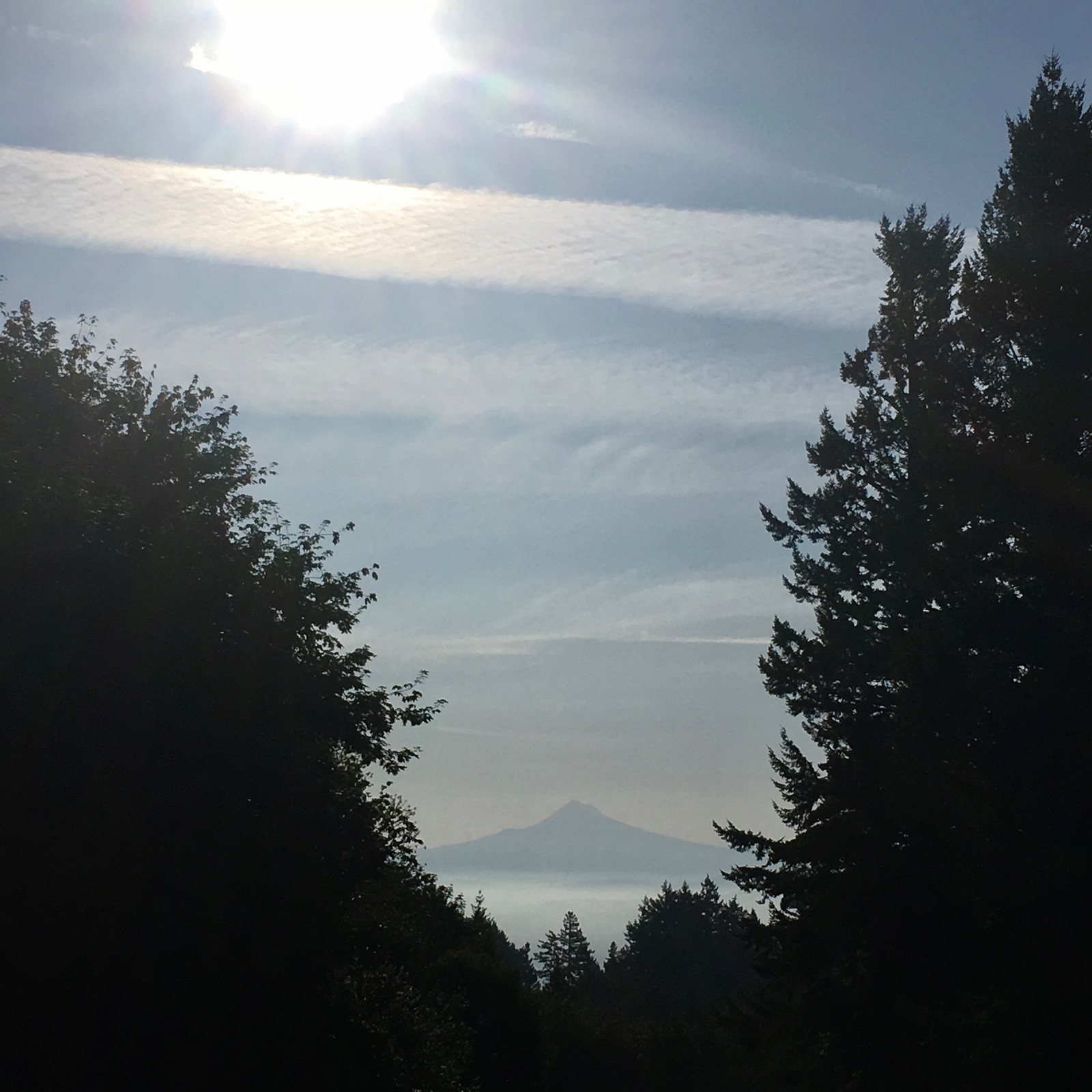 View from Council Crest toward Mt. Hood, which is visible
