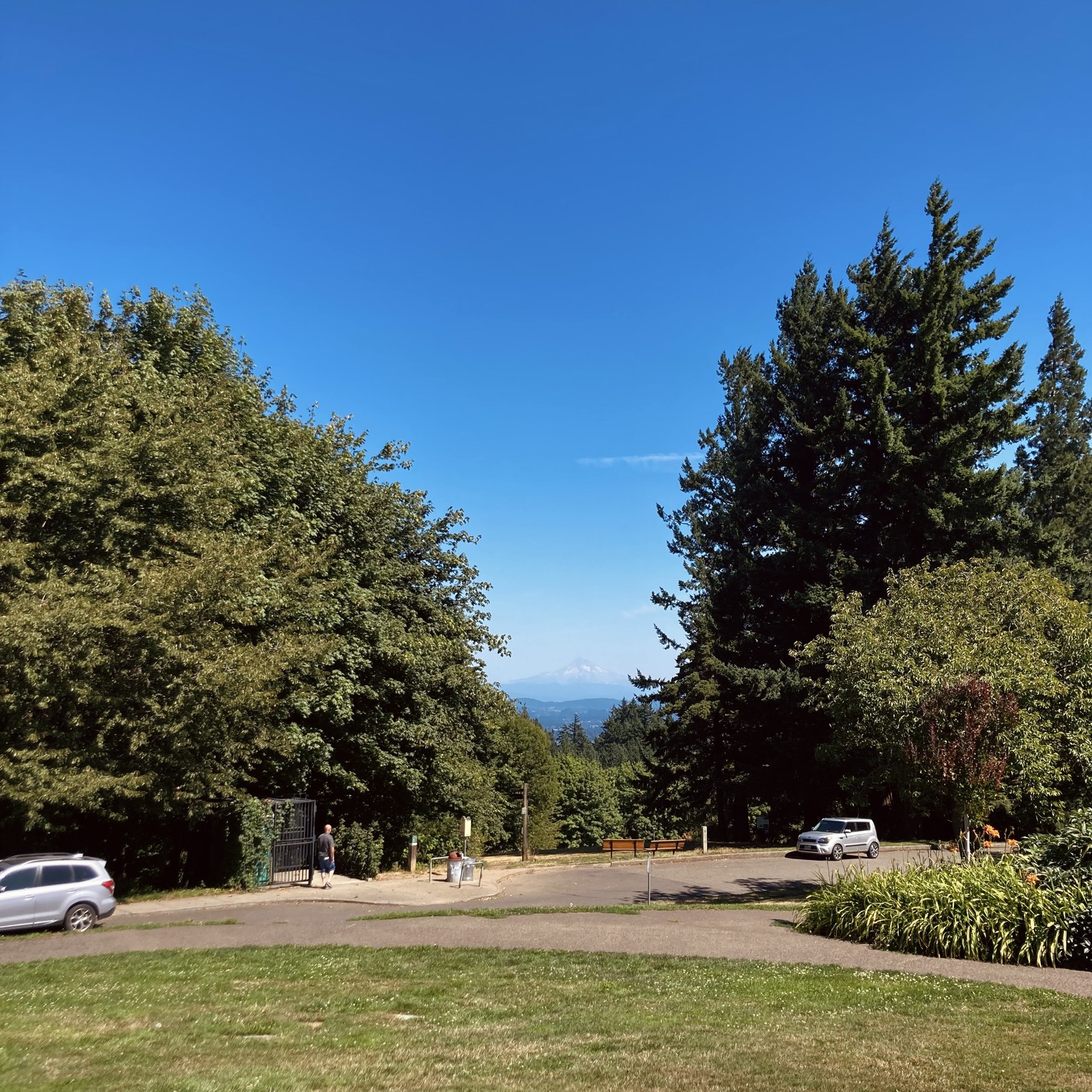 View of Mt. Hood from Council Crest on a very hot, very clear mid-August mid-afternoon. Photo has been filtered to enhance contrast around the mountain, whose glaciers are visibly reduced from a week ago