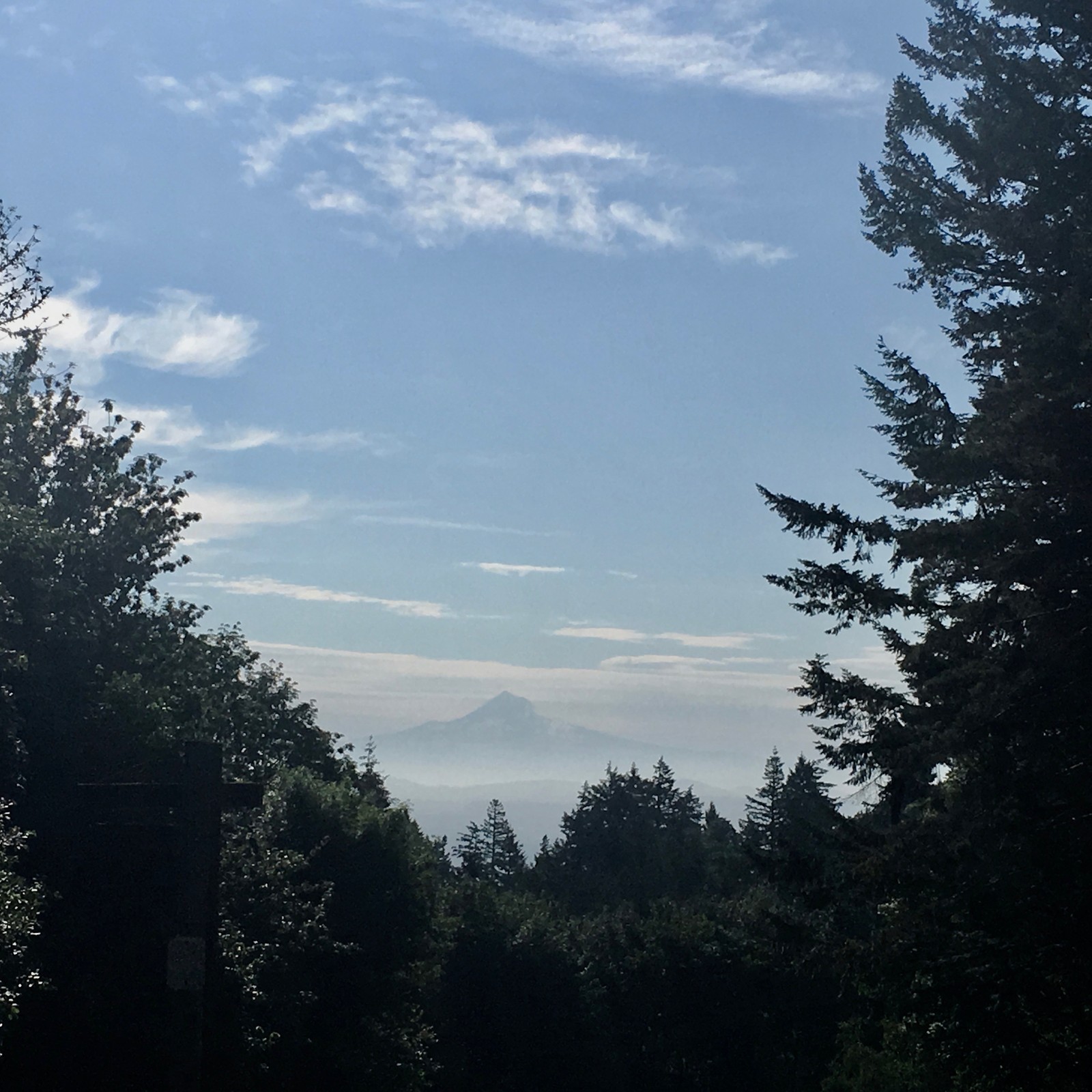 View from Council Crest toward Mt. Hood, which is visible