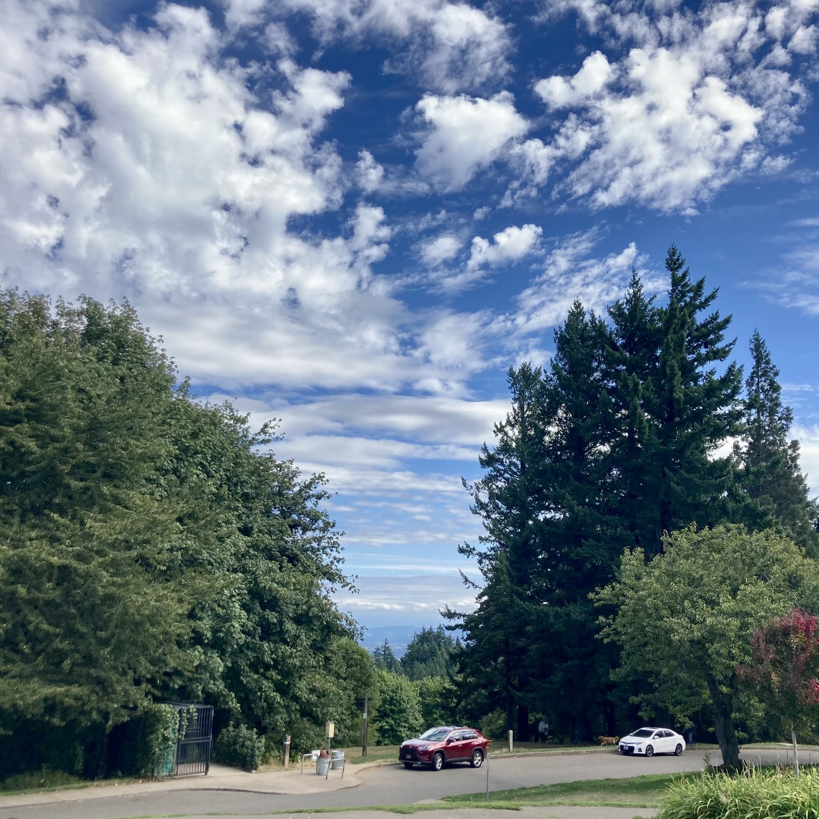 Looking from Council Crest Park toward Mt. Hood, which is obscured by a layer of marine clouds passing east