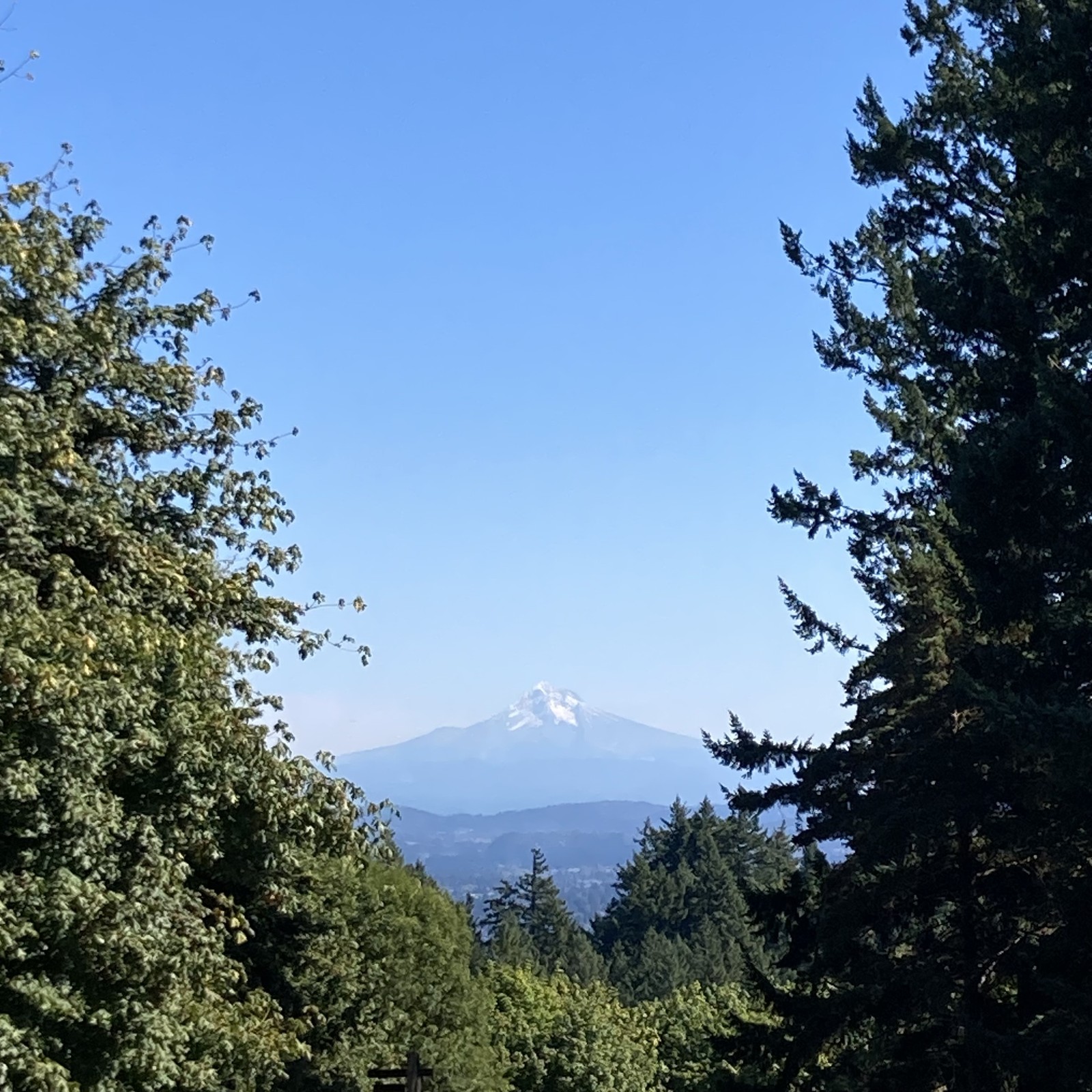 It is a very rare day when my squishy human eyes can make out more detail at 50 miles than my fancy camera phone. But today was such a day! Pilots call this weather “extreme clear”