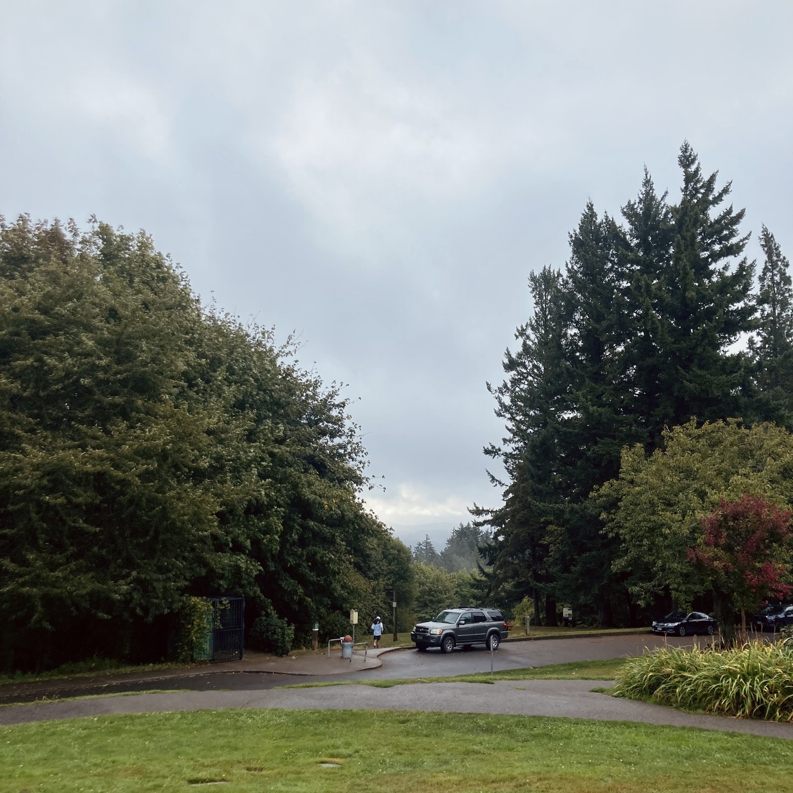 Warmish VERY WET blustery weather from the southwest, fresh off the Pacific, obscures Mt. Hood as (not) seen from Council Crest. In the near midground (about 100' away) a young man runs past the park’s perma-portapotty, and a parked SUV.