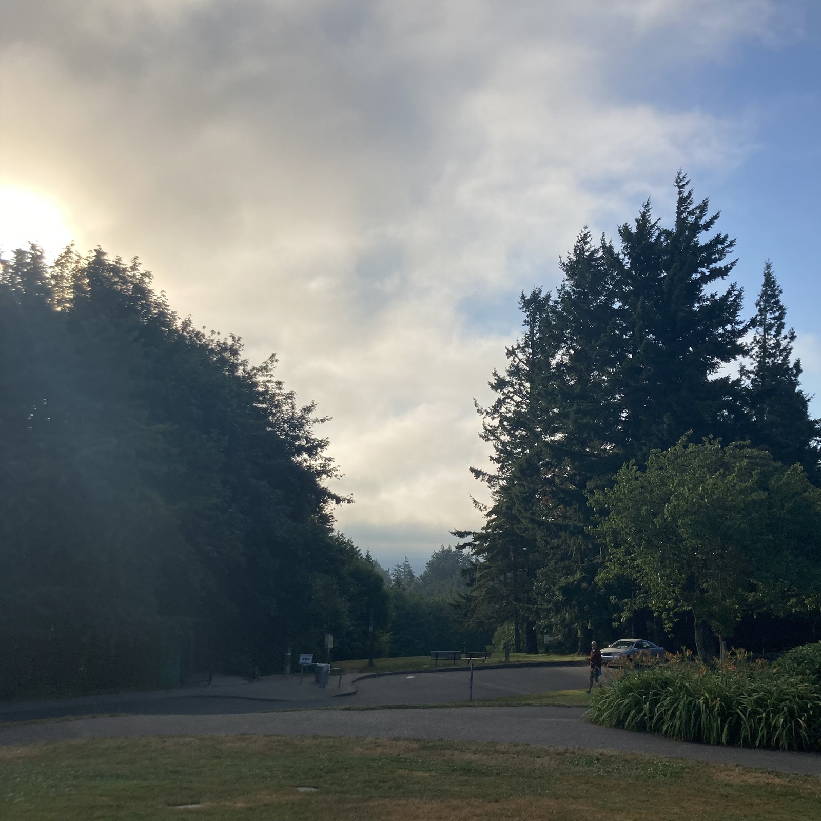View from Council Crest toward Mt. Hood, which is NOT visible
