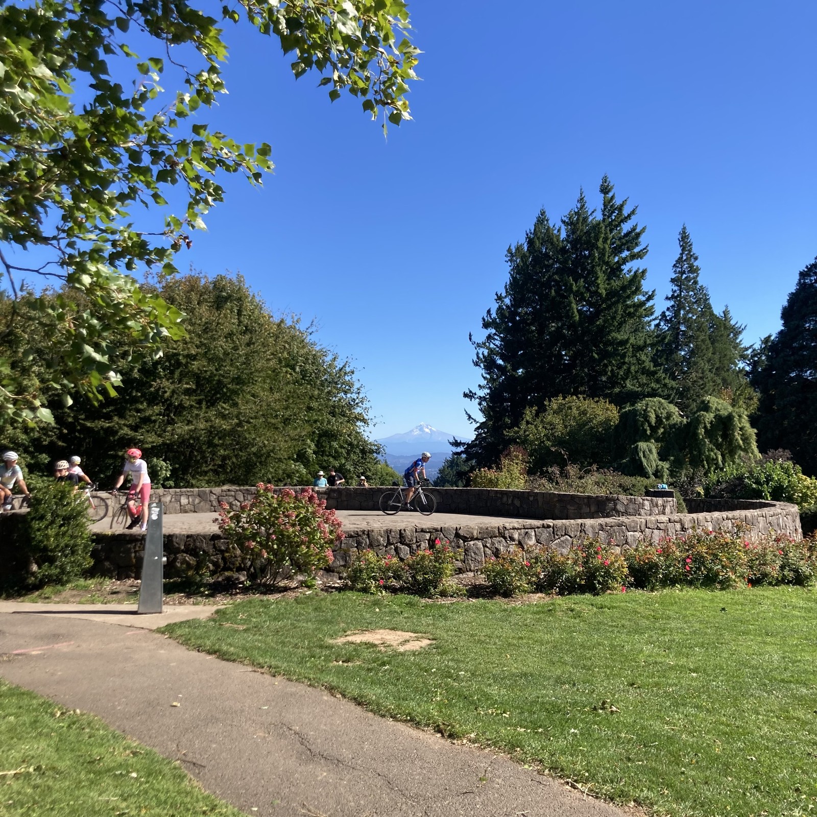 looking east across the observation circle at the top of Council Crest park toward Mt. Hood. A group of five cyclists and a few other people are in the circle. The mountain is visible under a dark, dry, sparkling sky. In the near midground a planting of roses and hydrangeas are shedding the last of their summer petals
