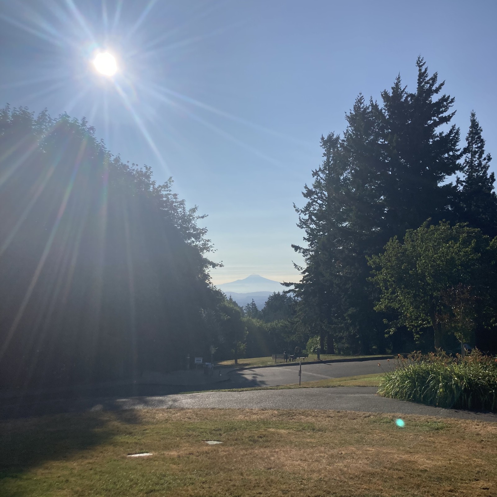 View from Council Crest toward Mt. Hood, which is visible