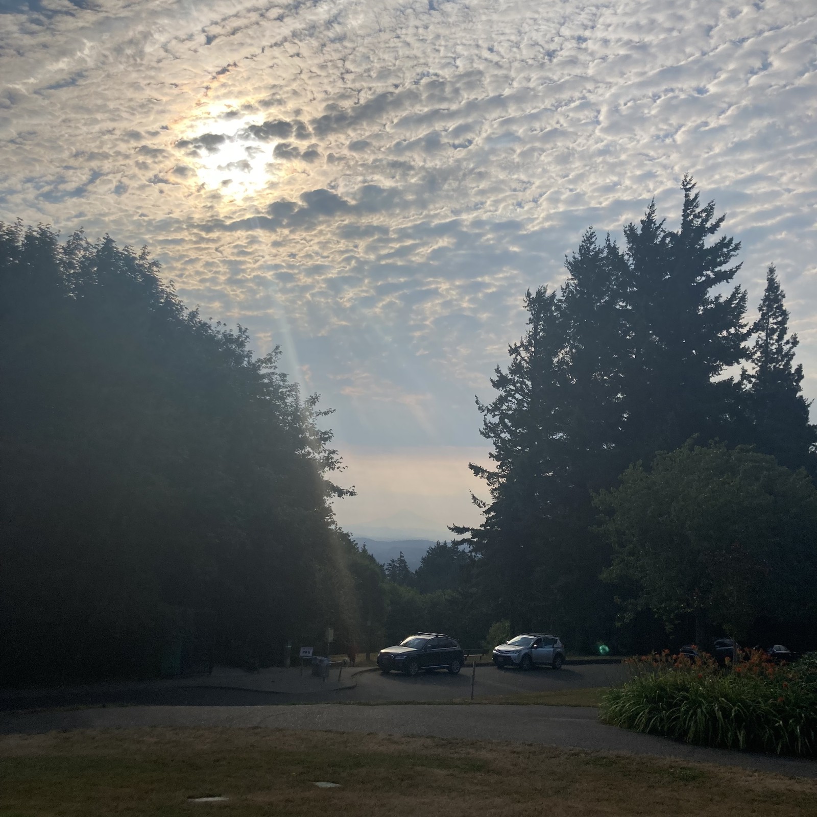 View from Council Crest toward Mt. Hood, which is visible