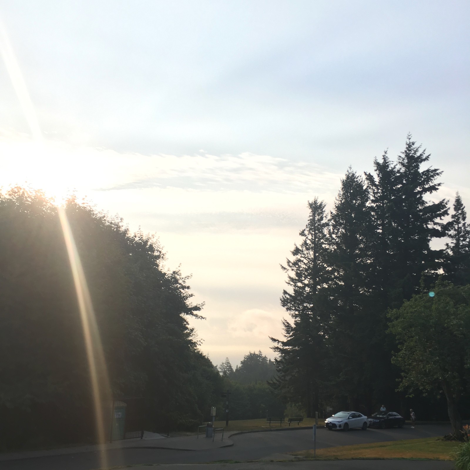 View from Council Crest toward Mt. Hood, which is NOT visible