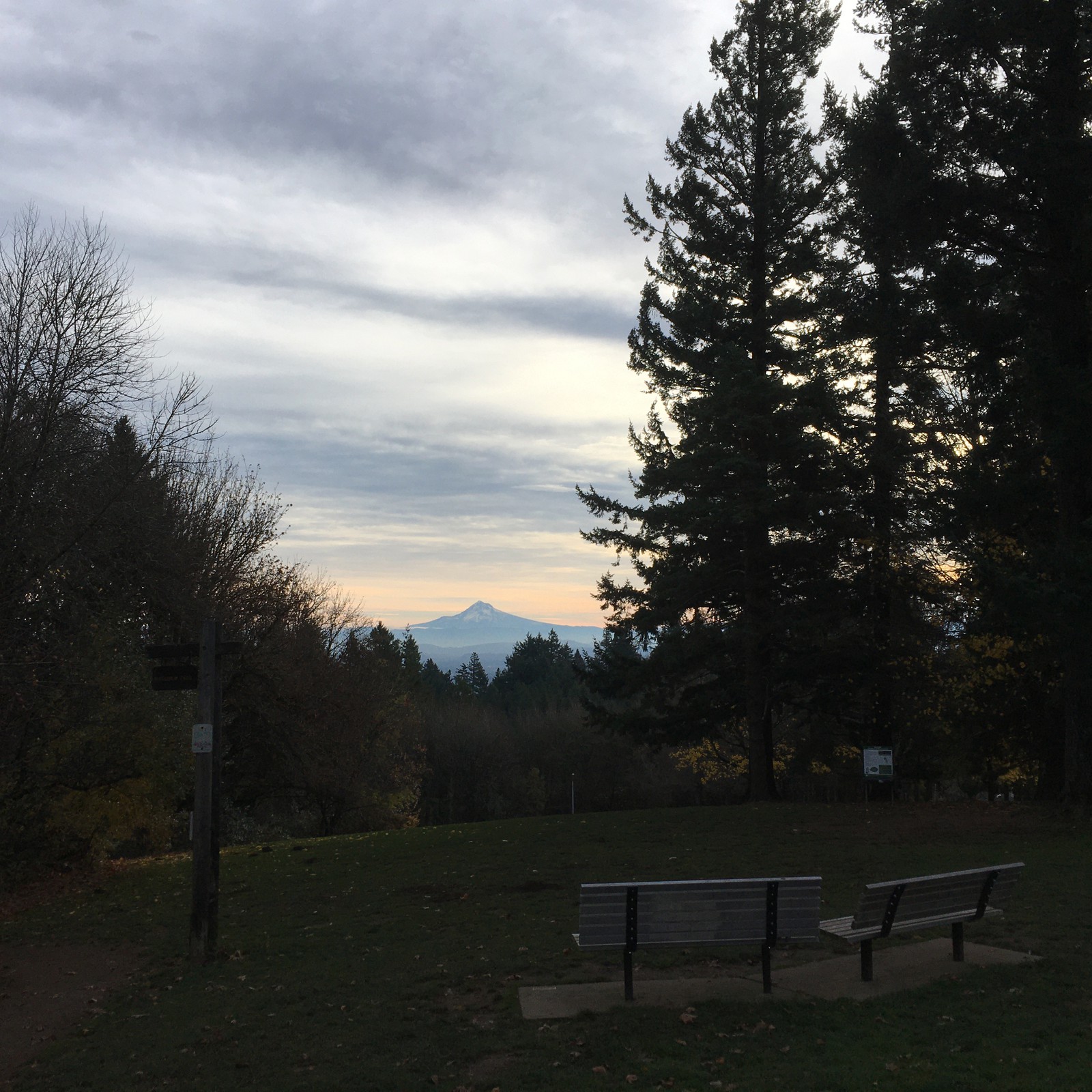 View from Council Crest toward Mt. Hood, which is visible