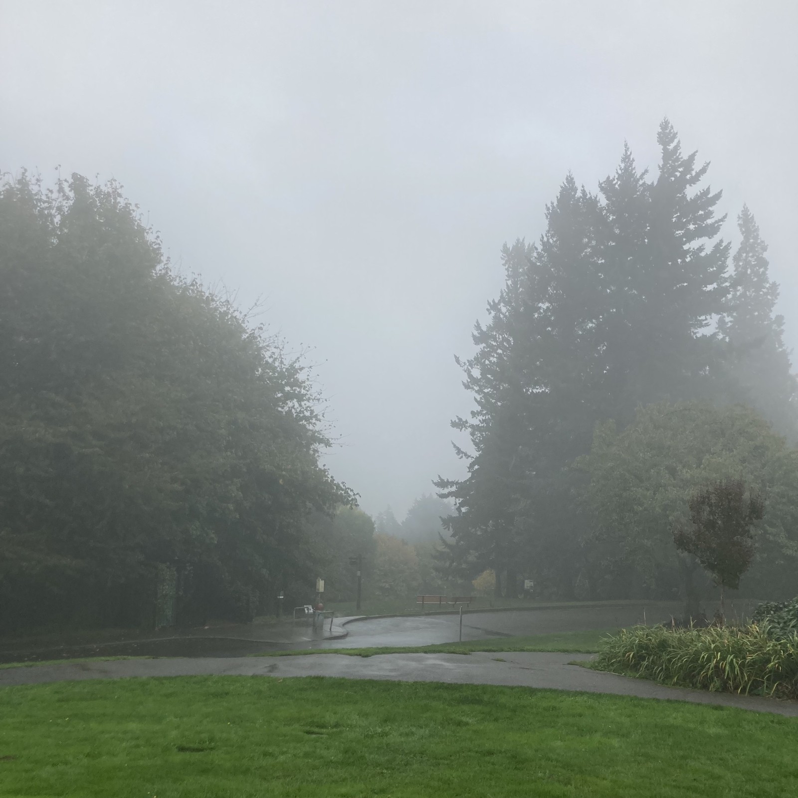 not much to see here. it is gray. it is rainy. it is cold. no mountain.