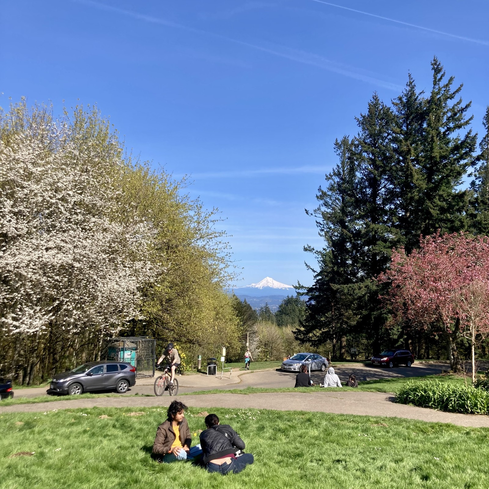 Busy day at the park, warm and sunny! People lounging on the grass, looking at the mountain. A cyclist rides up the path toward us. Mt. Hood clear in the distance, snowy.