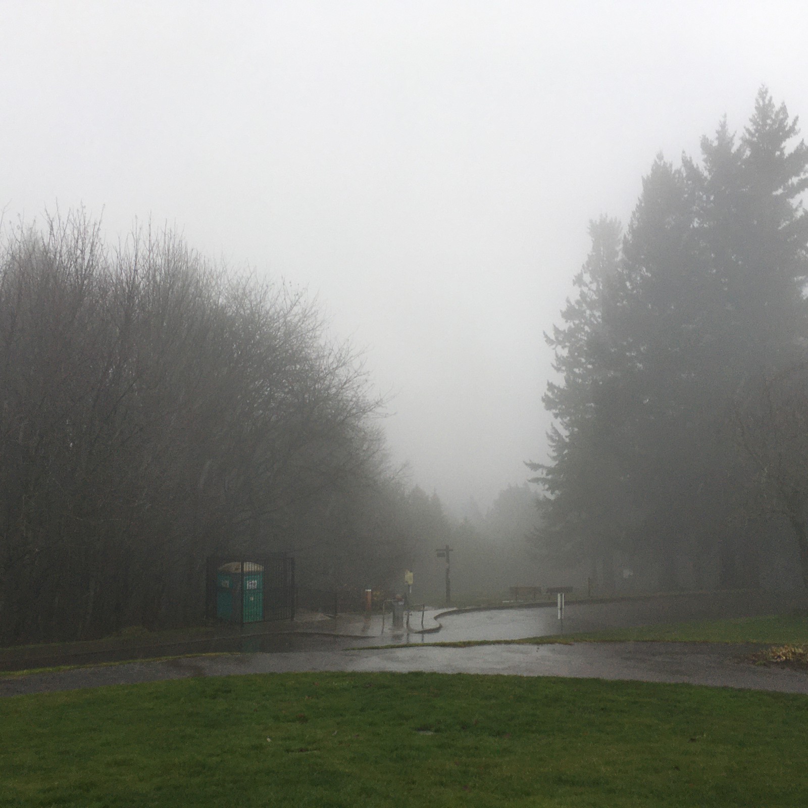View from Council Crest toward Mt. Hood, which is NOT visible