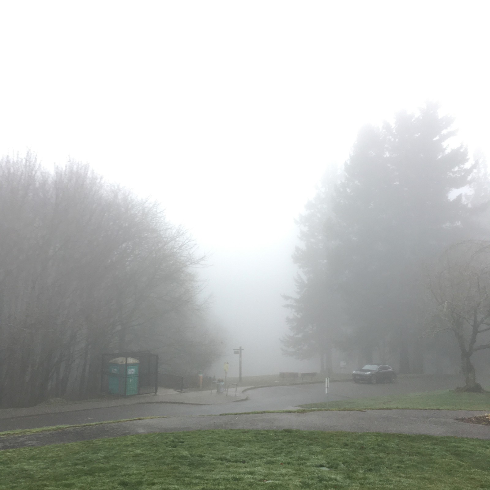View from Council Crest toward Mt. Hood, which is NOT visible