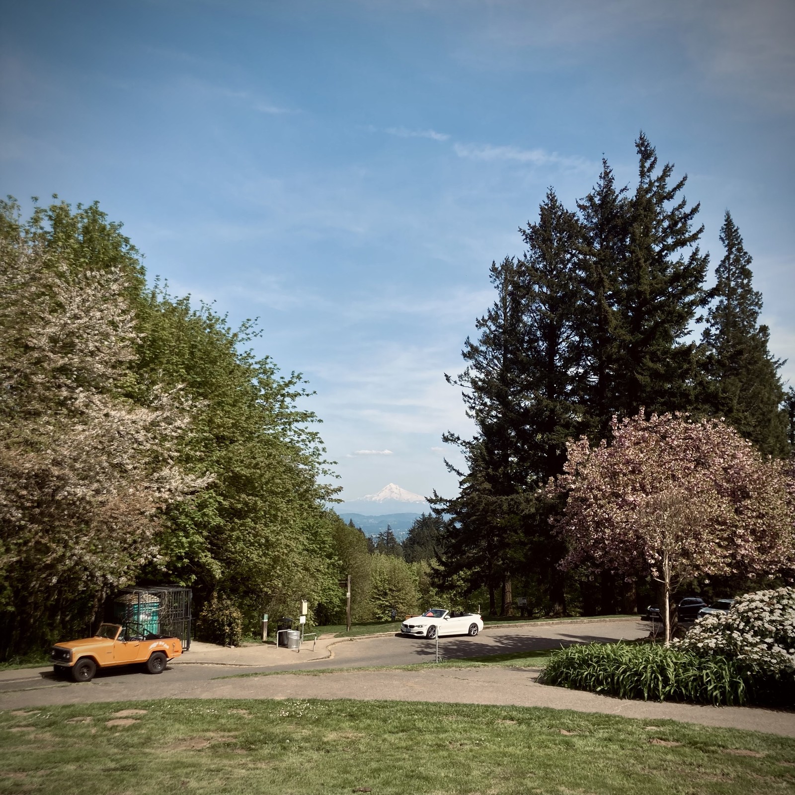 The usual sunny spring vista looking toward Mt Hood, with some retro effects bc parked near the portapotty is a faded orange ca 1970 Jeep Gladiator(?) softtop