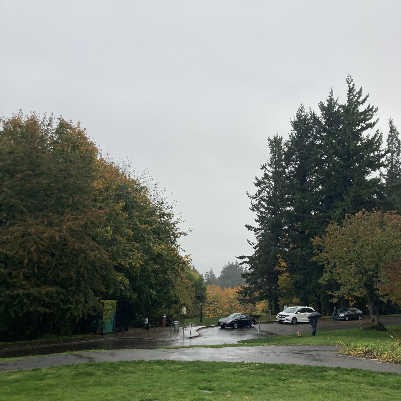 View from Council Crest toward Mt. Hood, which is NOT visible