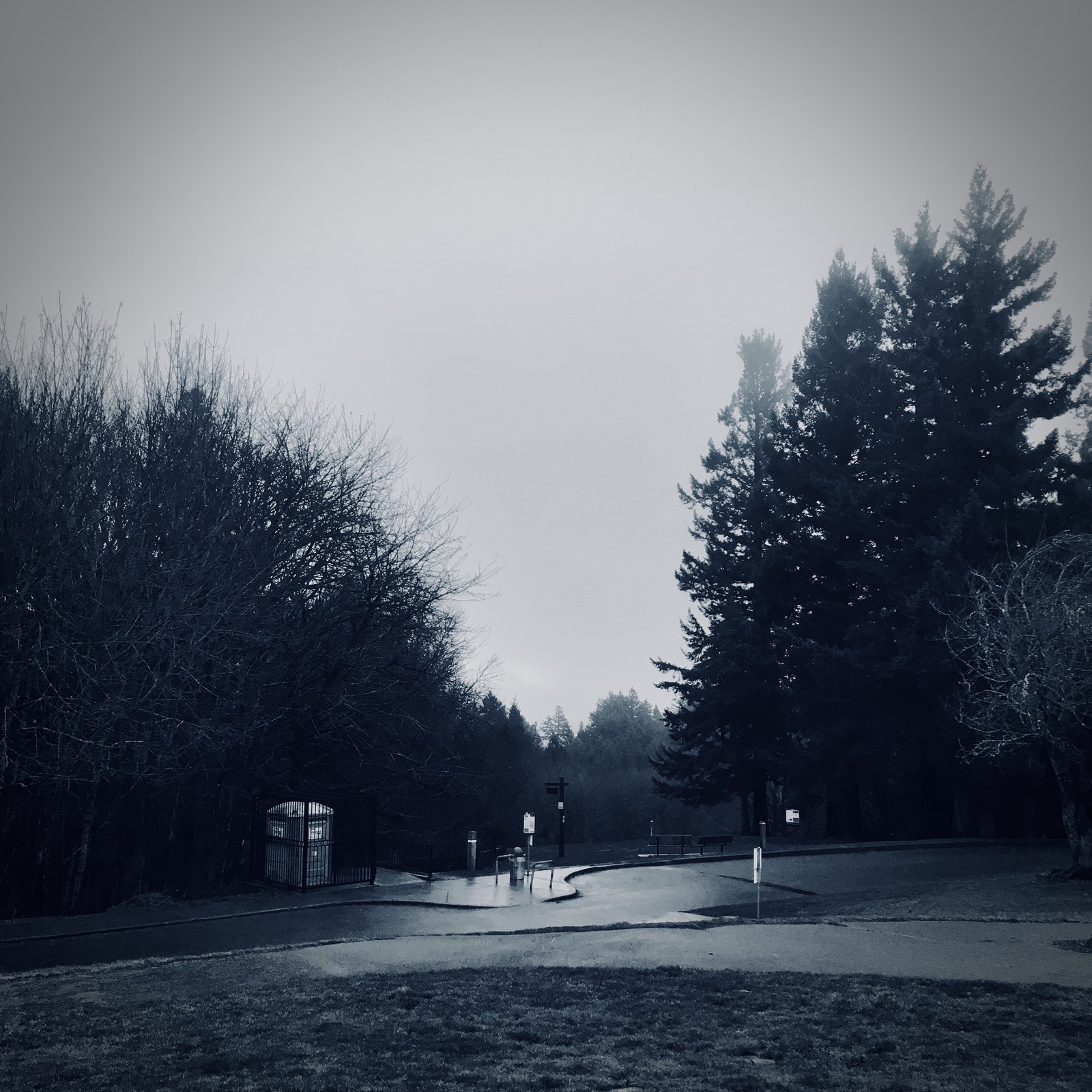 View from Council Crest toward Mt. Hood, which is NOT visible