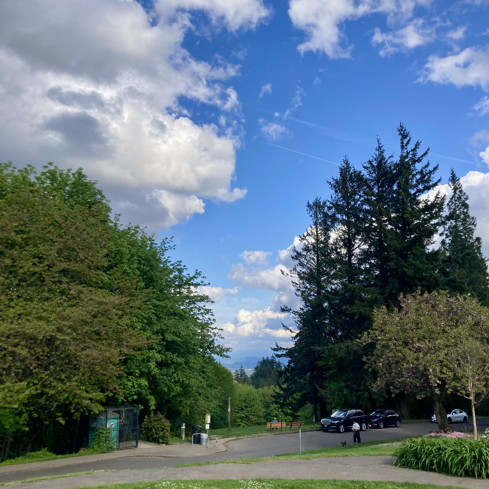 Fluffy white clouds crowd a brilliant blue sky. Vegetation pops with green. about 100 feet away a woman walks a small dog. The air has a sparkly, crystalline quality